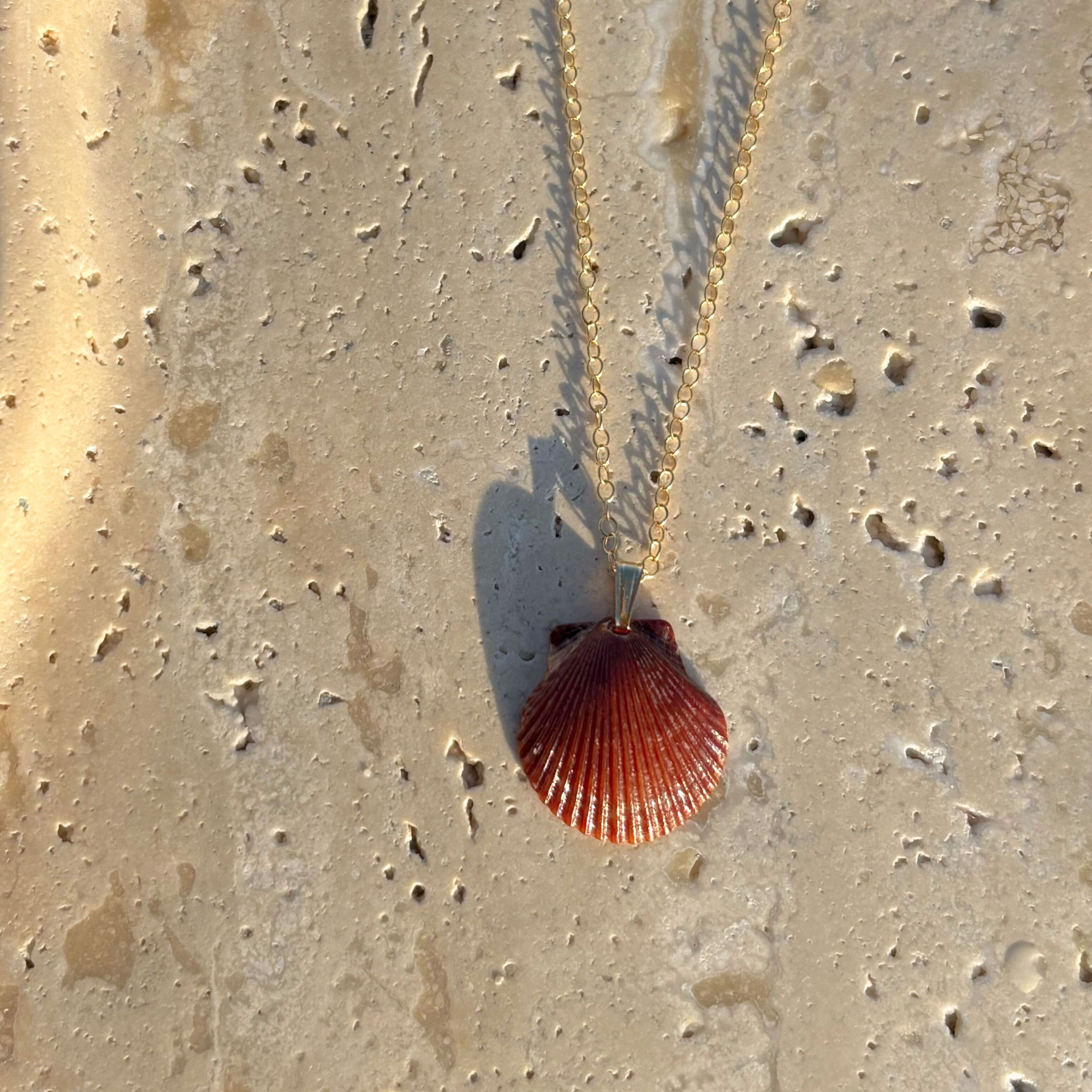 Pacific Calico Scallop Necklace | 14K Gold-filled