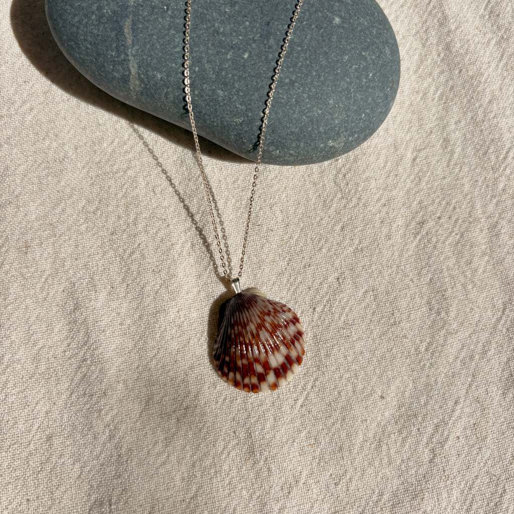 Pacific Calico Scallop Necklace | Sterling Silver