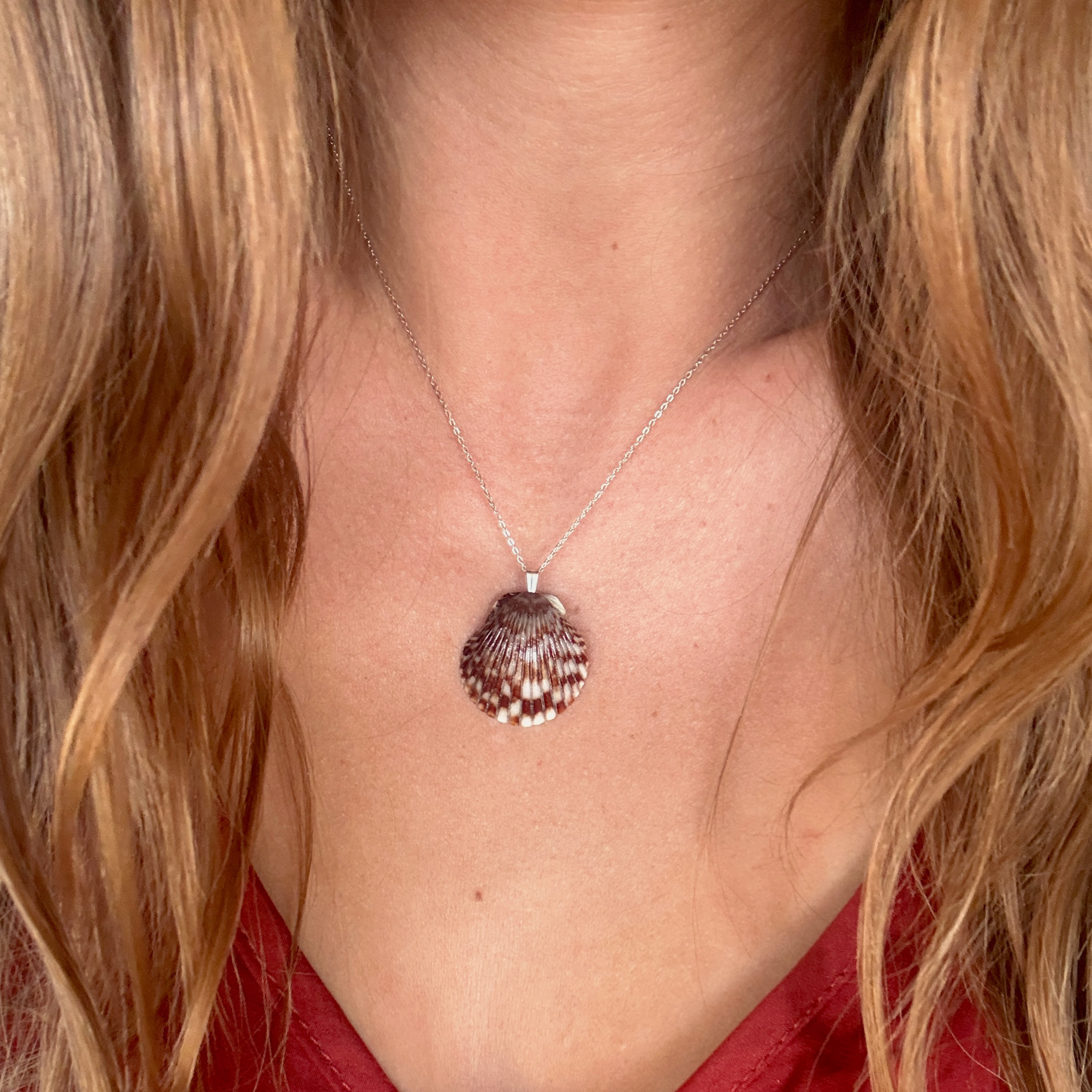 Pacific Calico Scallop Necklace | Sterling Silver