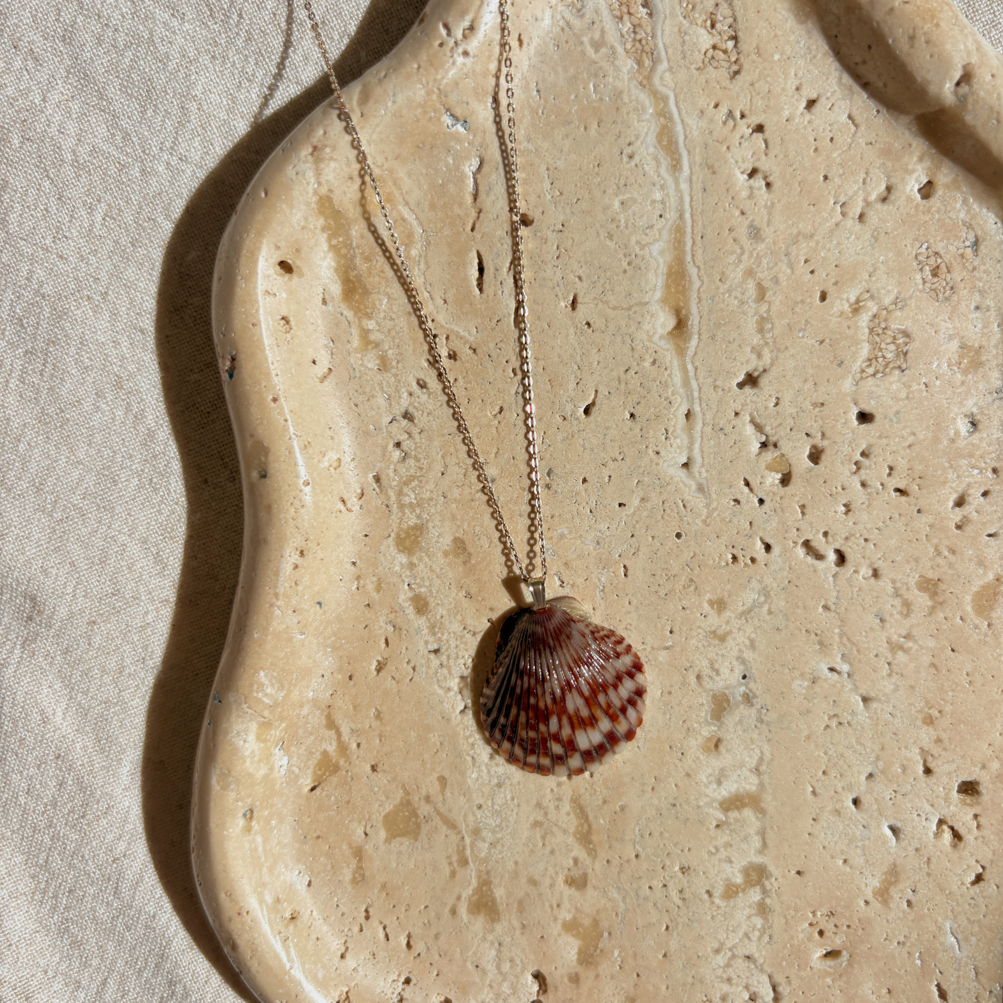 Pacific Calico Scallop Necklace | Sterling Silver