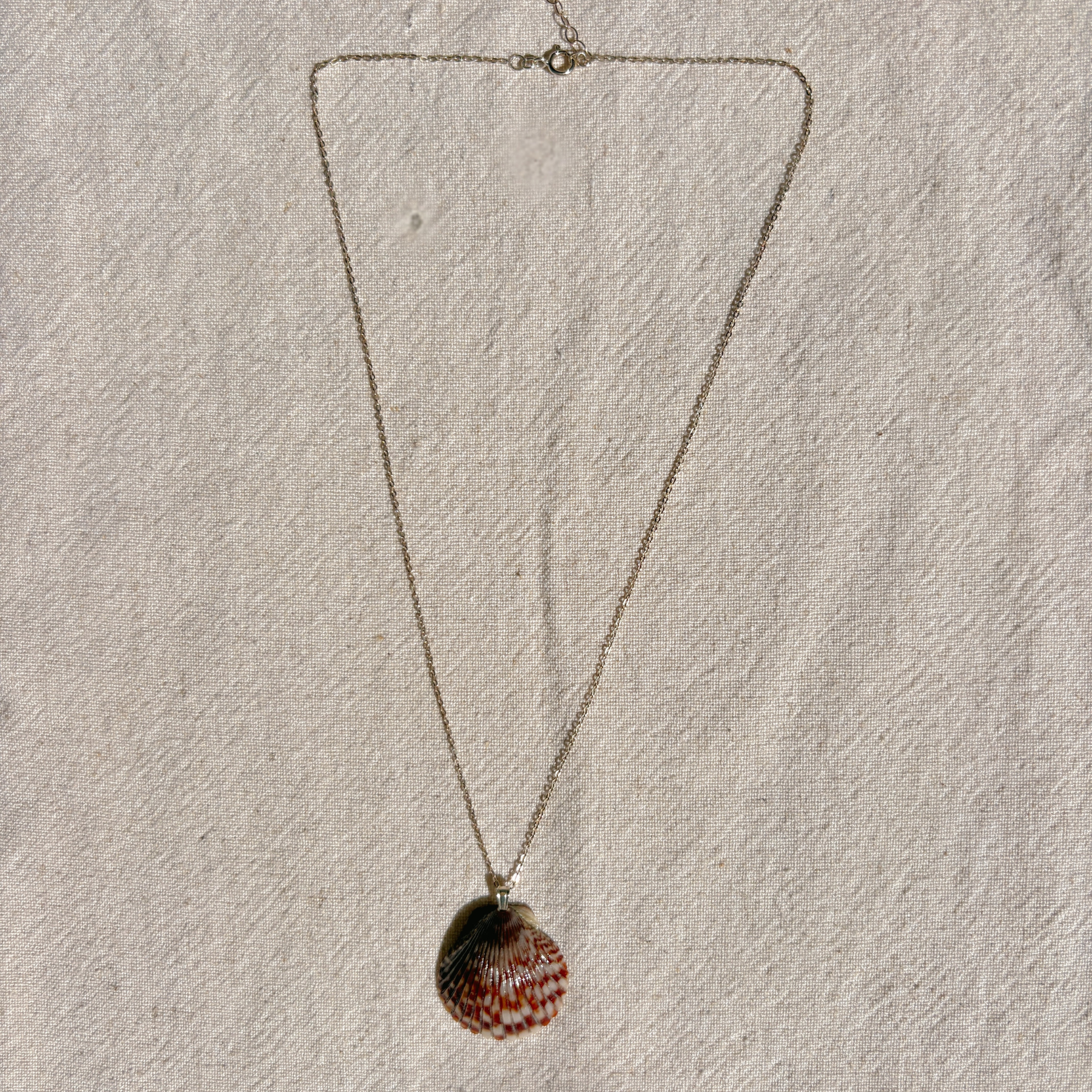 Pacific Calico Scallop Necklace | Sterling Silver