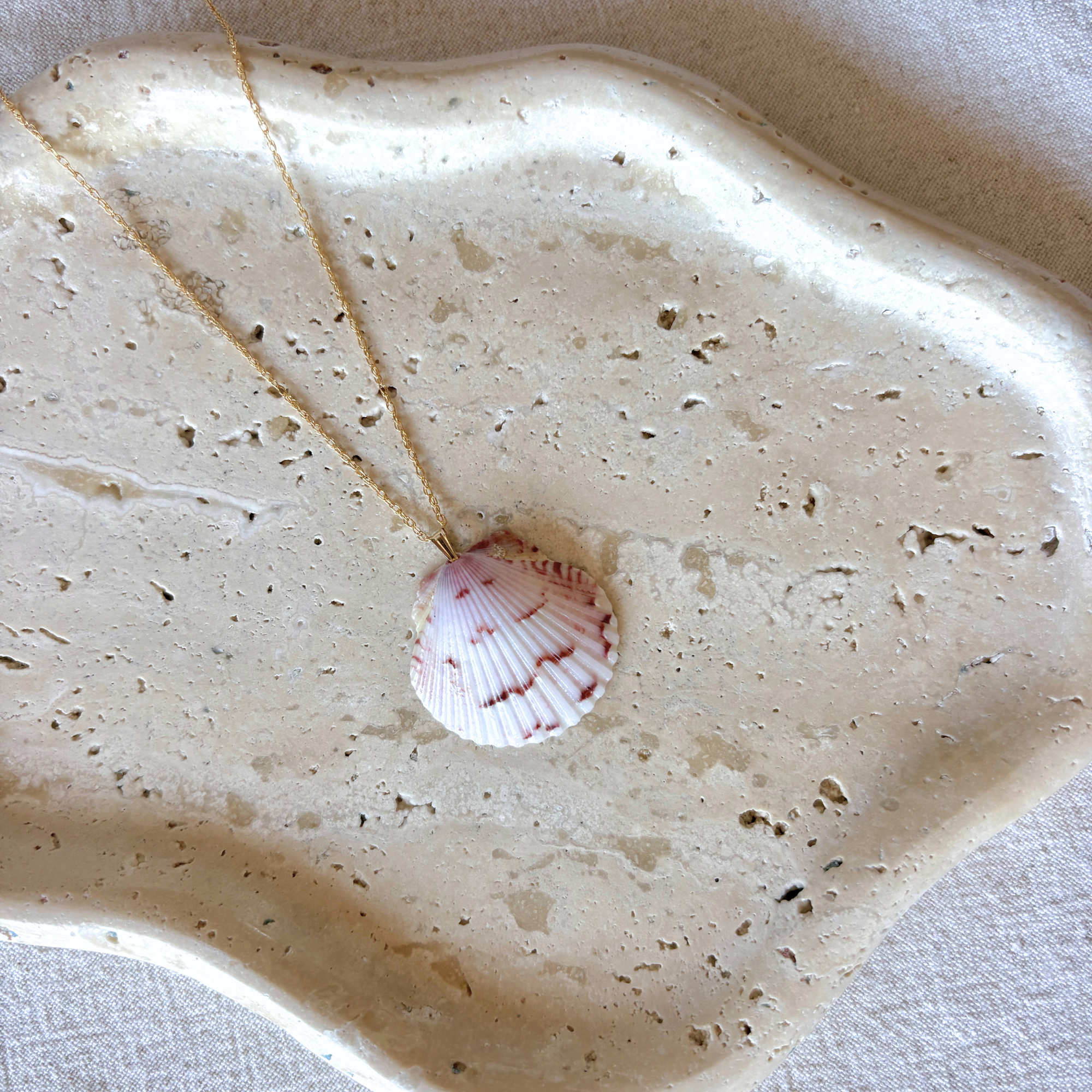 Floridian Scallop Necklace | 14K Gold-filled