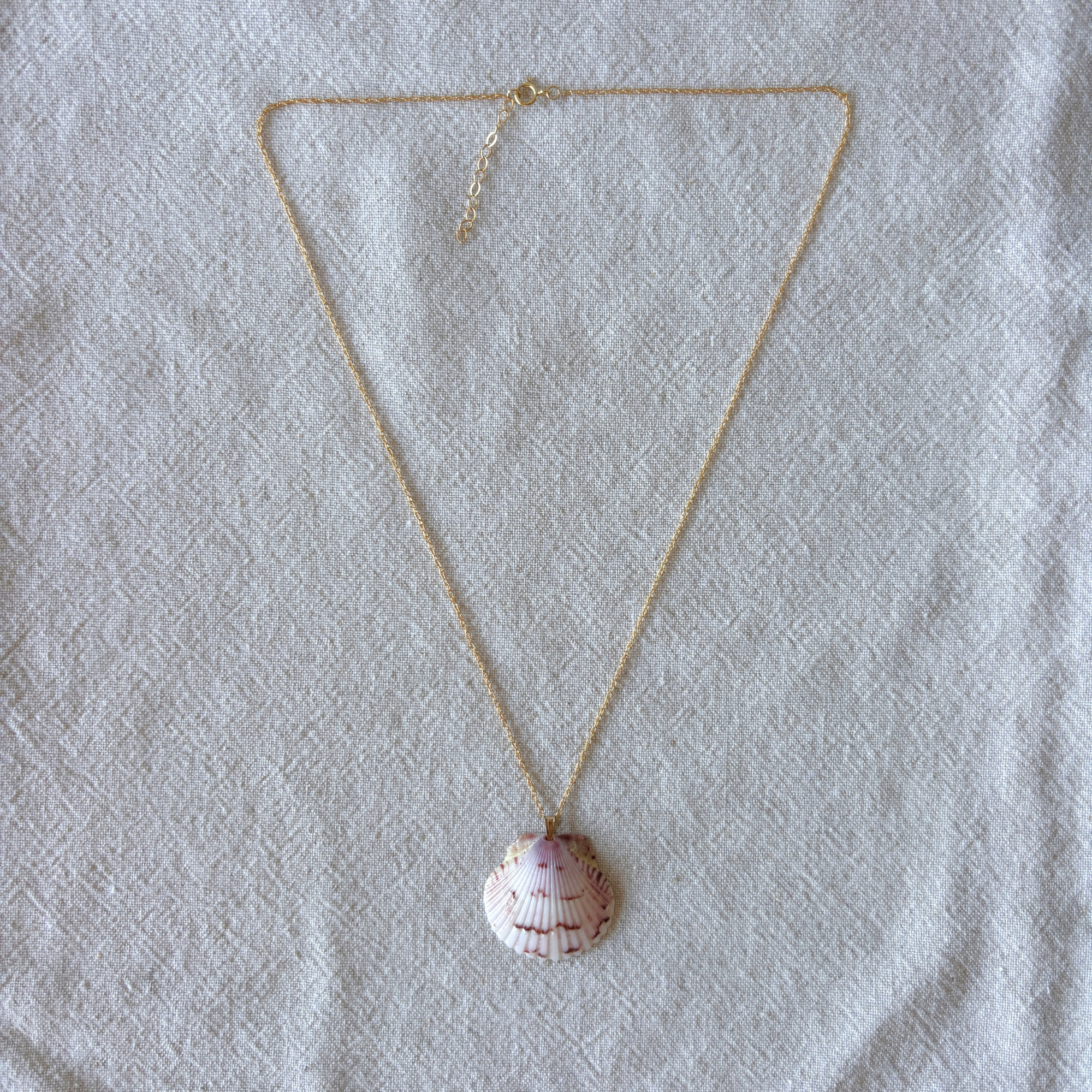 Floridian Scallop Necklace | 14K Gold-filled