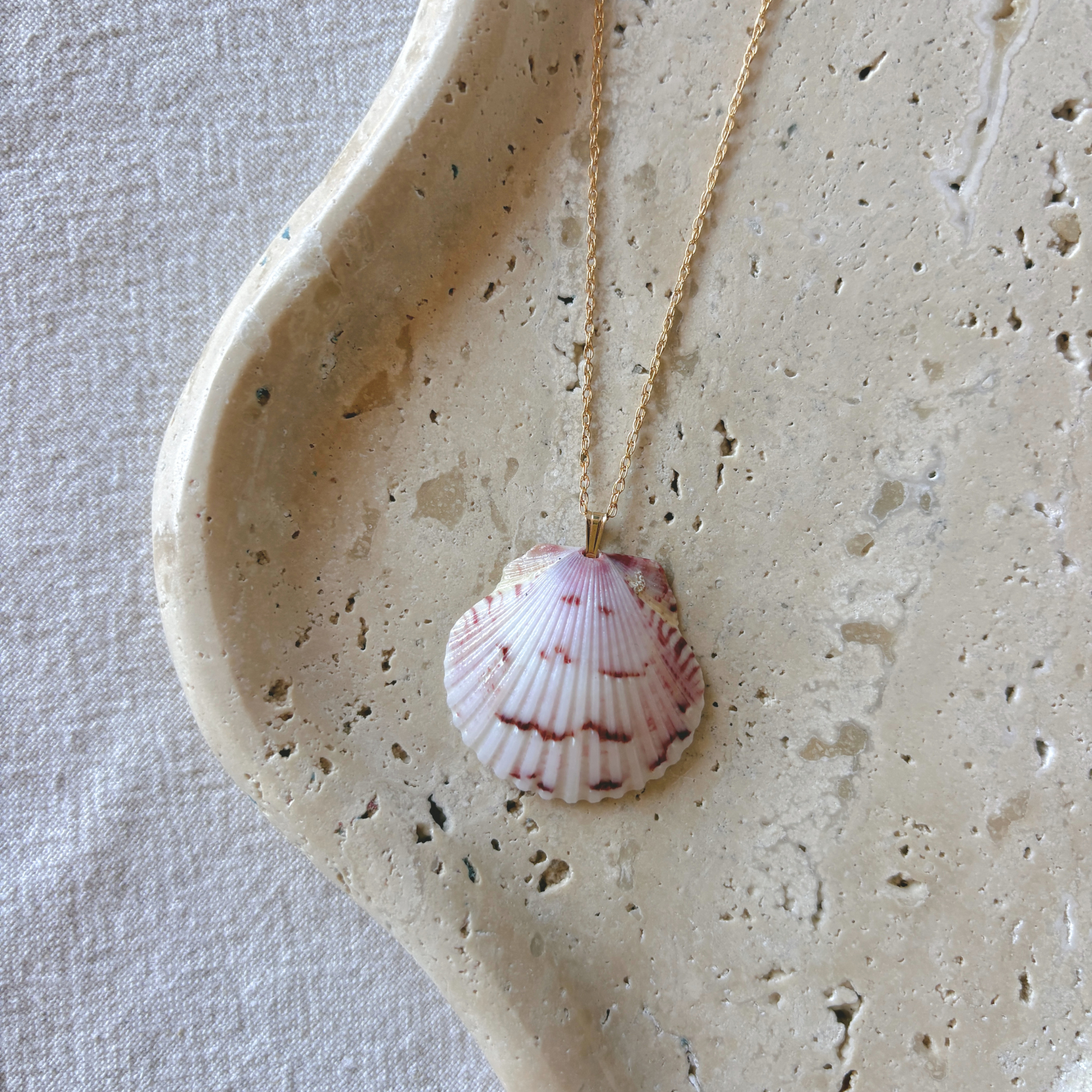 Floridian Scallop Necklace | 14K Gold-filled