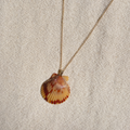 Pacific Calico Scallop Necklace | 14K Gold-filled