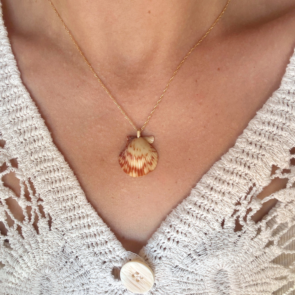 Pacific Calico Scallop Necklace | 14K Gold-filled