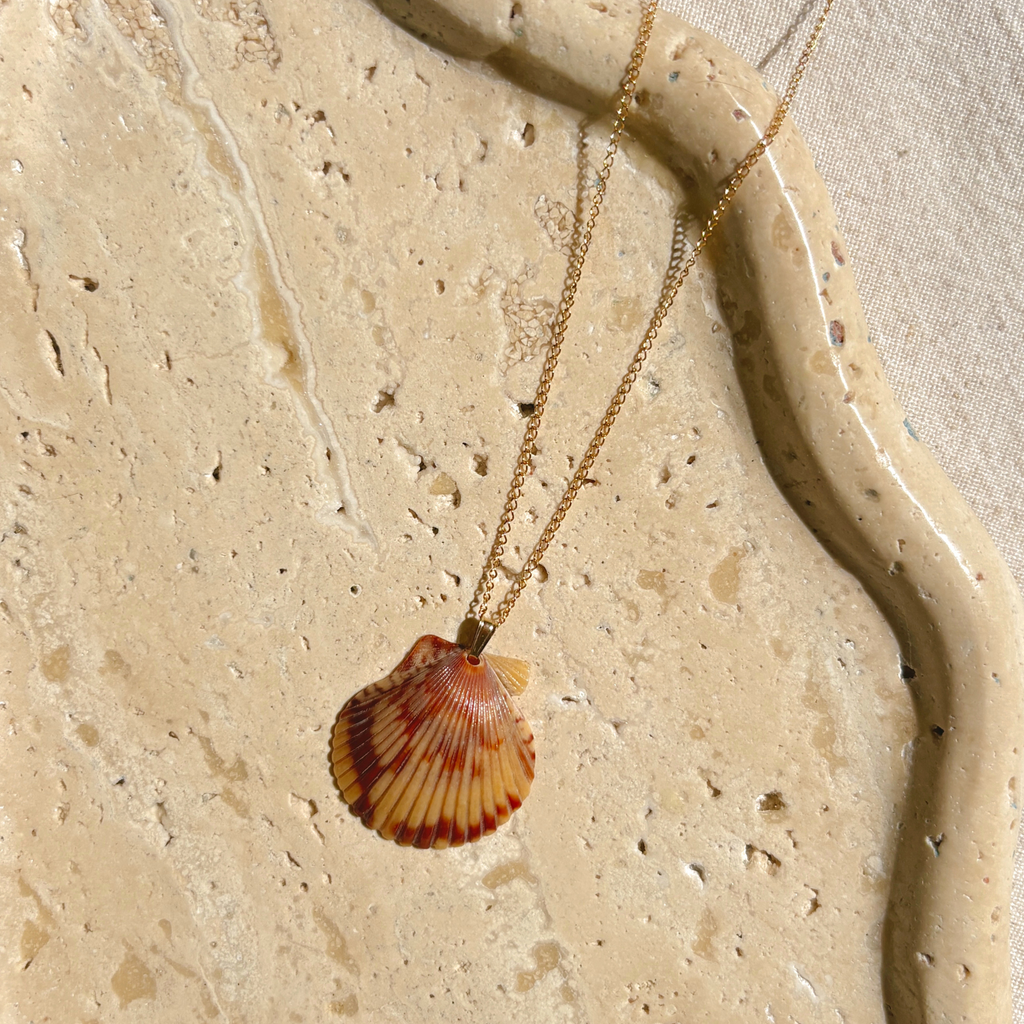 Pacific Calico Scallop Necklace | 14K Gold-filled