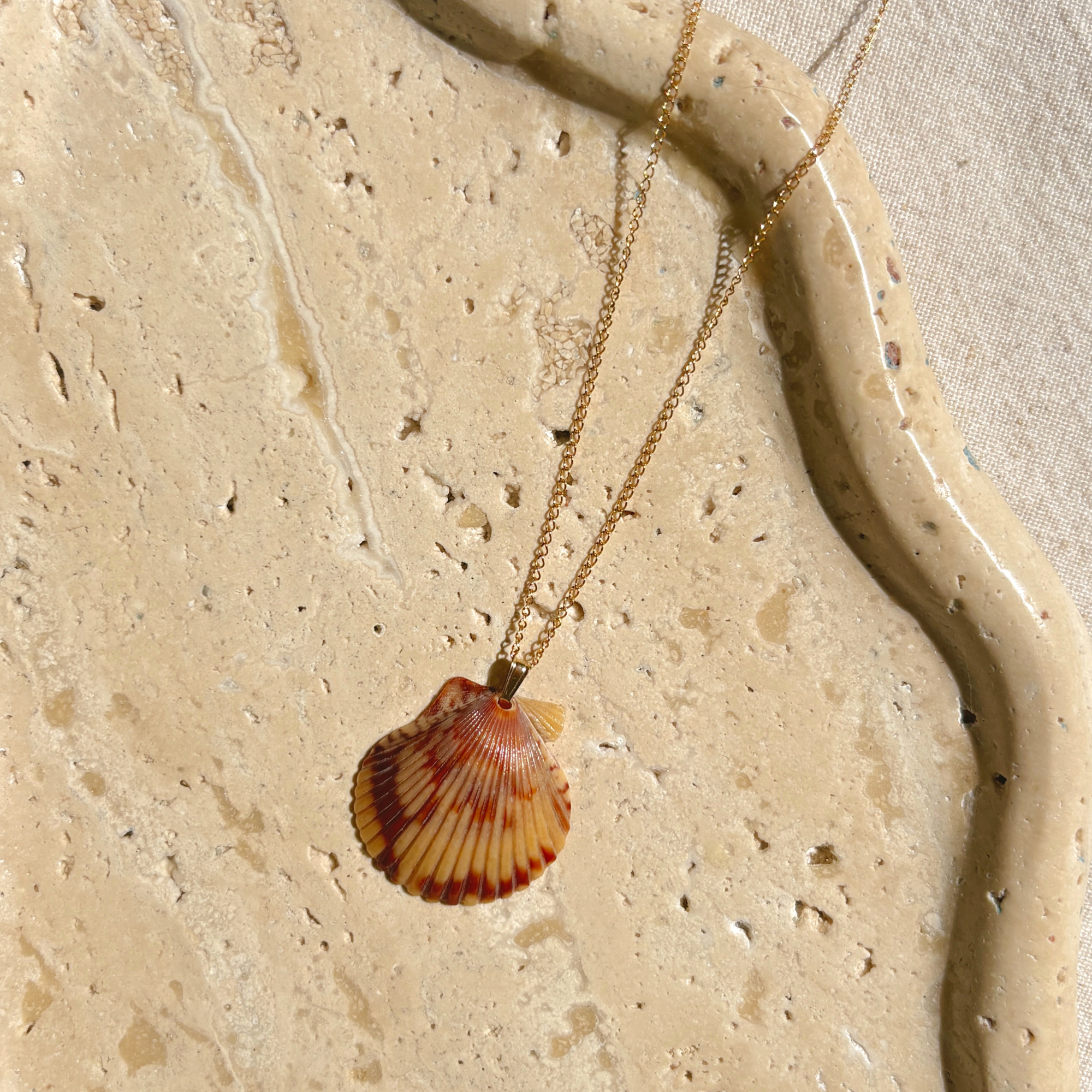 Pacific Calico Scallop Necklace | 14K Gold-filled