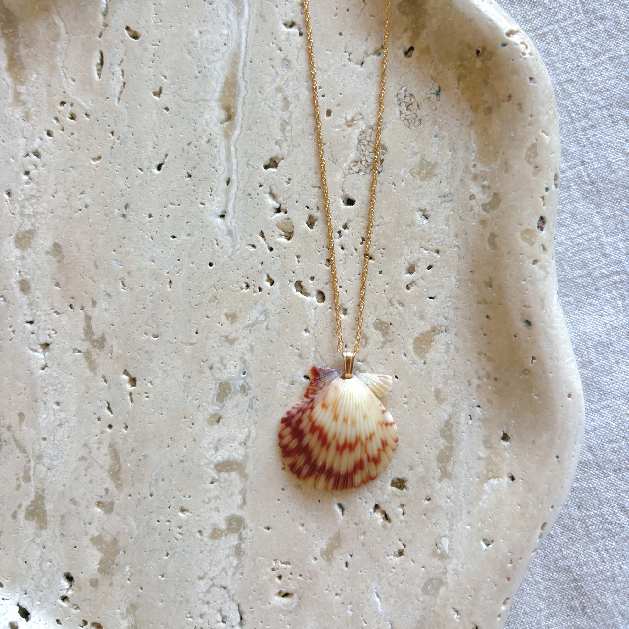 Pacific Calico Scallop Necklace | 14K Gold-filled