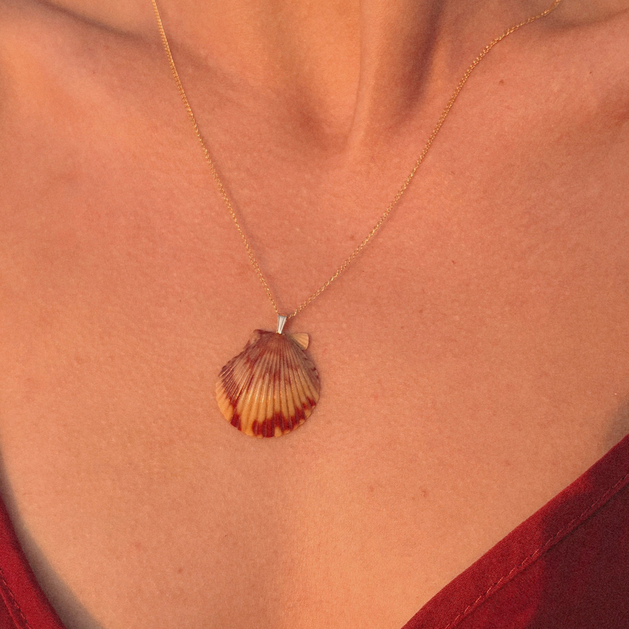 Pacific Calico Scallop Necklace | 14K Gold-filled