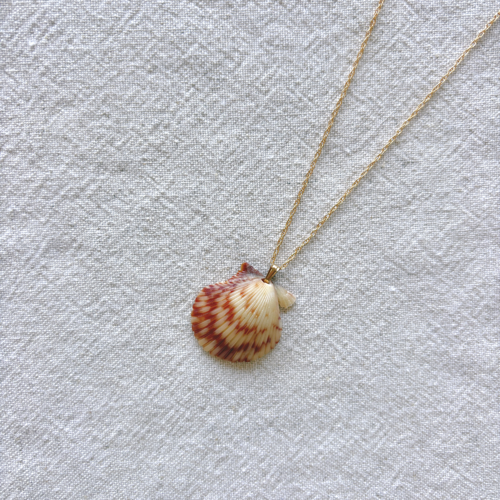 Pacific Calico Scallop Necklace | 14K Gold-filled