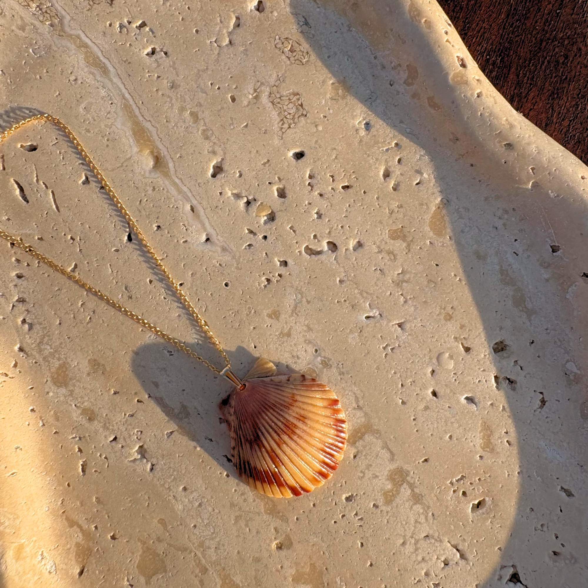 Pacific Calico Scallop Necklace | 14K Gold-filled
