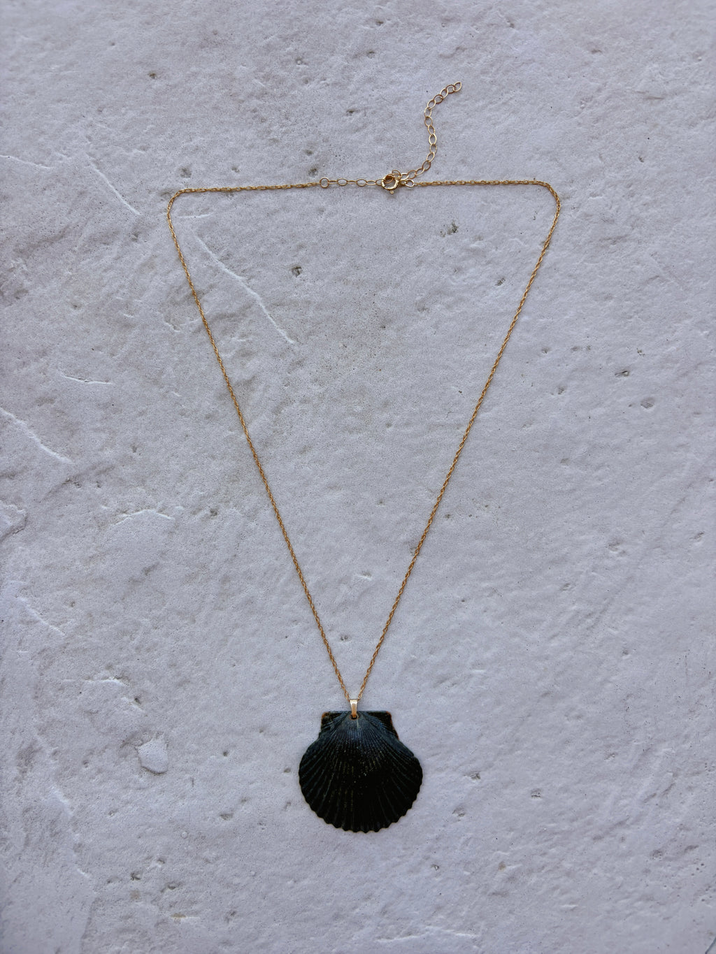 Pacific Calico Scallop Necklace | 14K Gold-filled