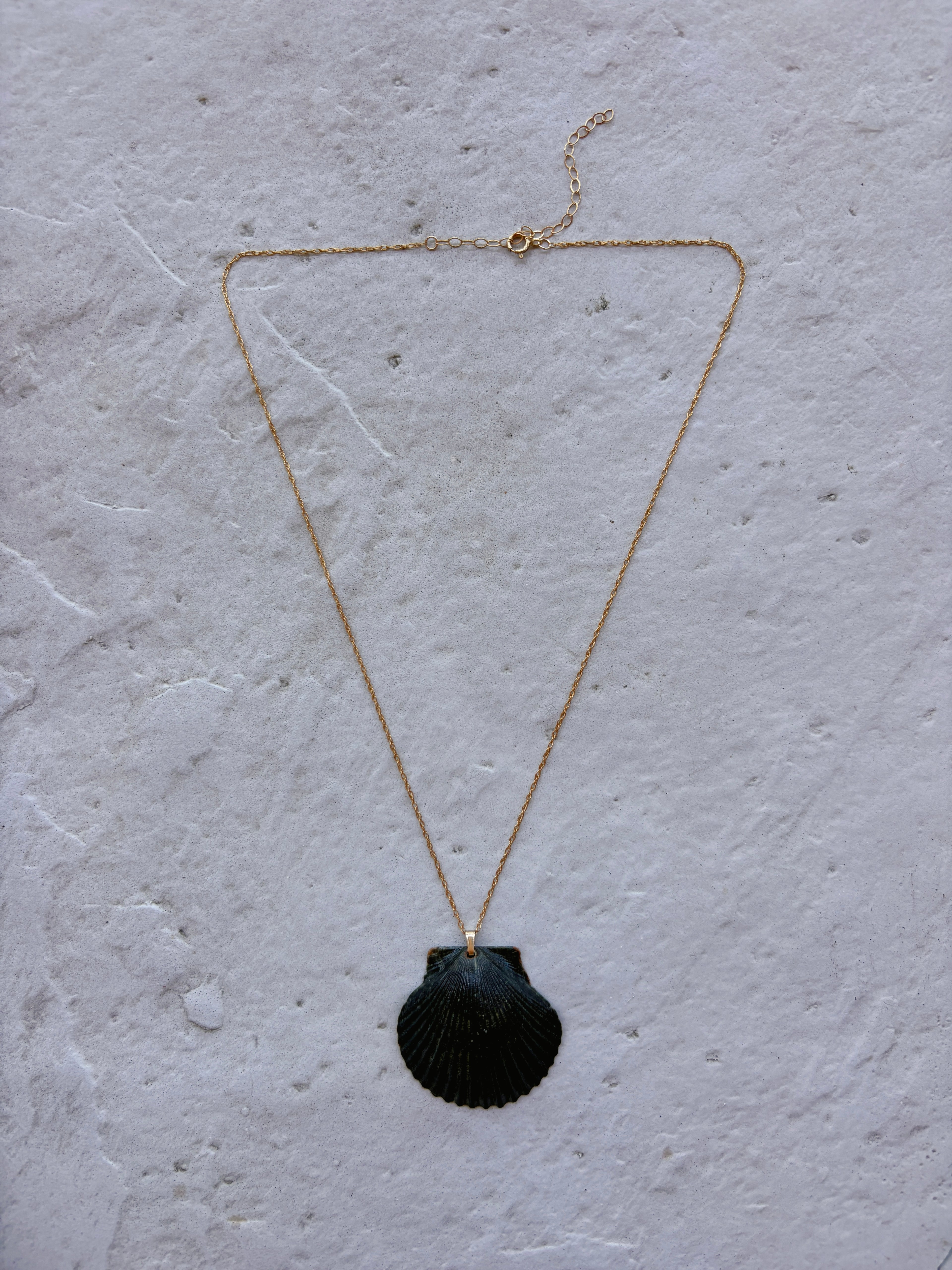 Pacific Calico Scallop Necklace | 14K Gold-filled