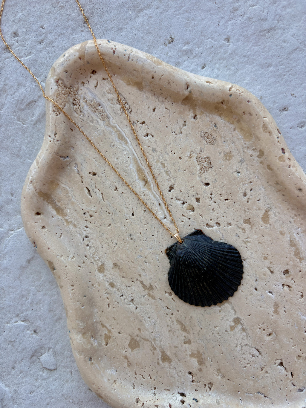 Pacific Calico Scallop Necklace | 14K Gold-filled