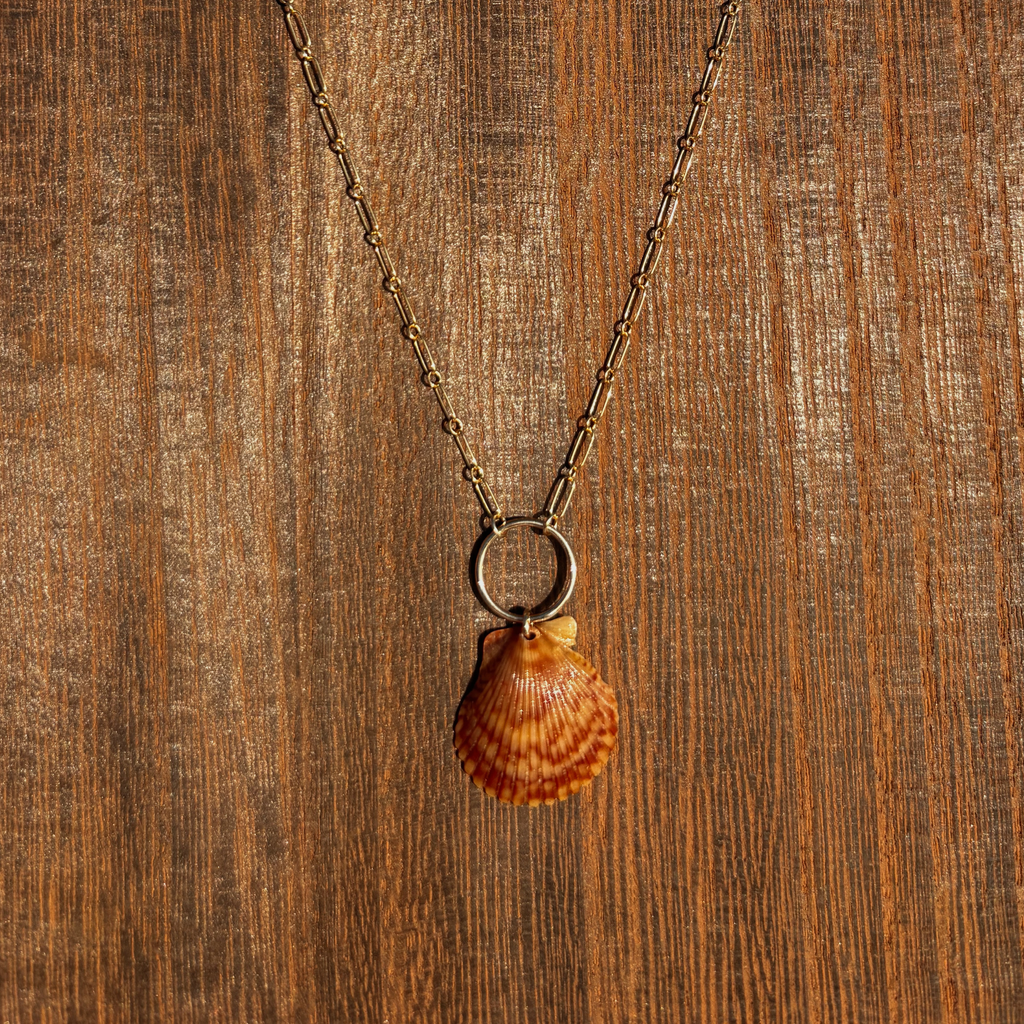The Linked Seashell Necklace | 14K Gold-filled