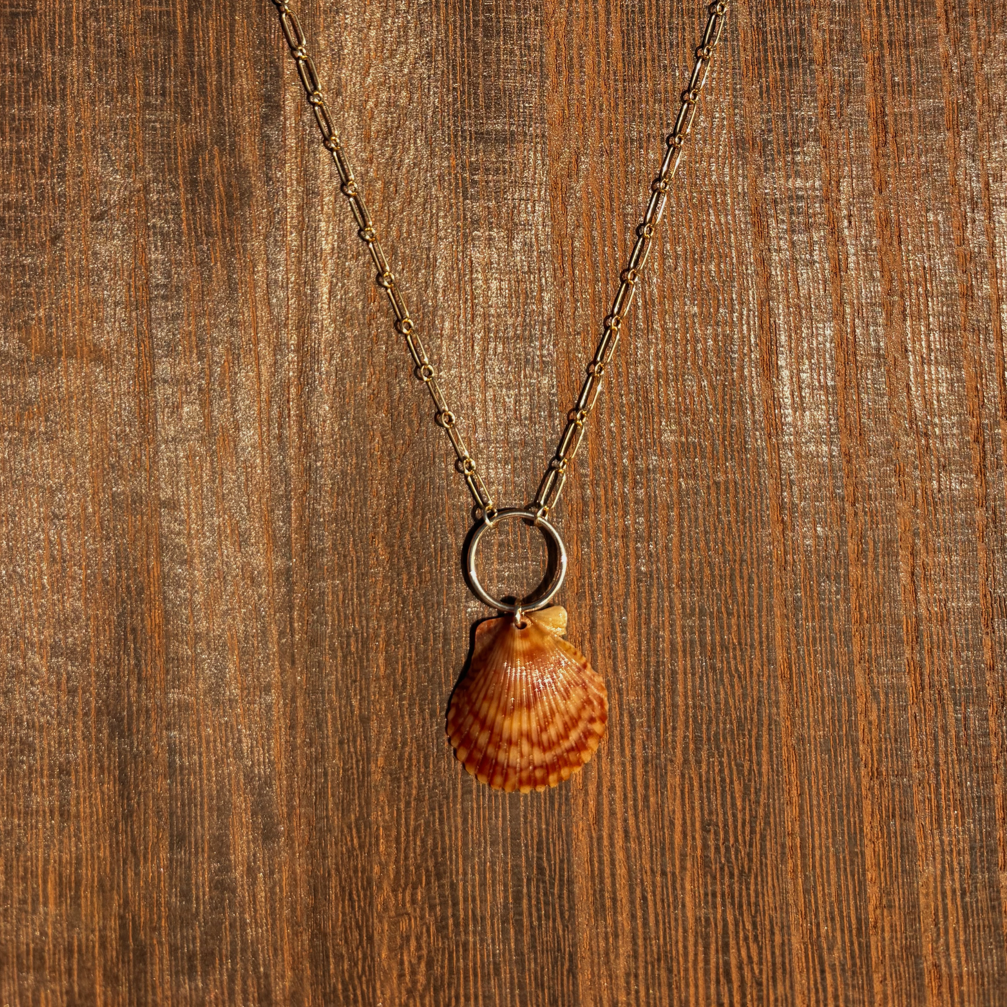 The Linked Seashell Necklace | 14K Gold-filled