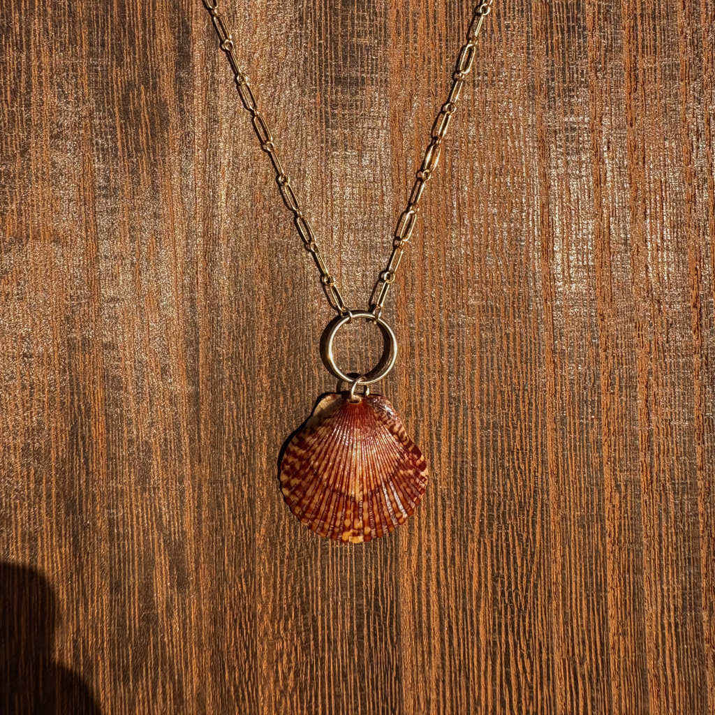The Linked Seashell Necklace | 14K Gold-filled