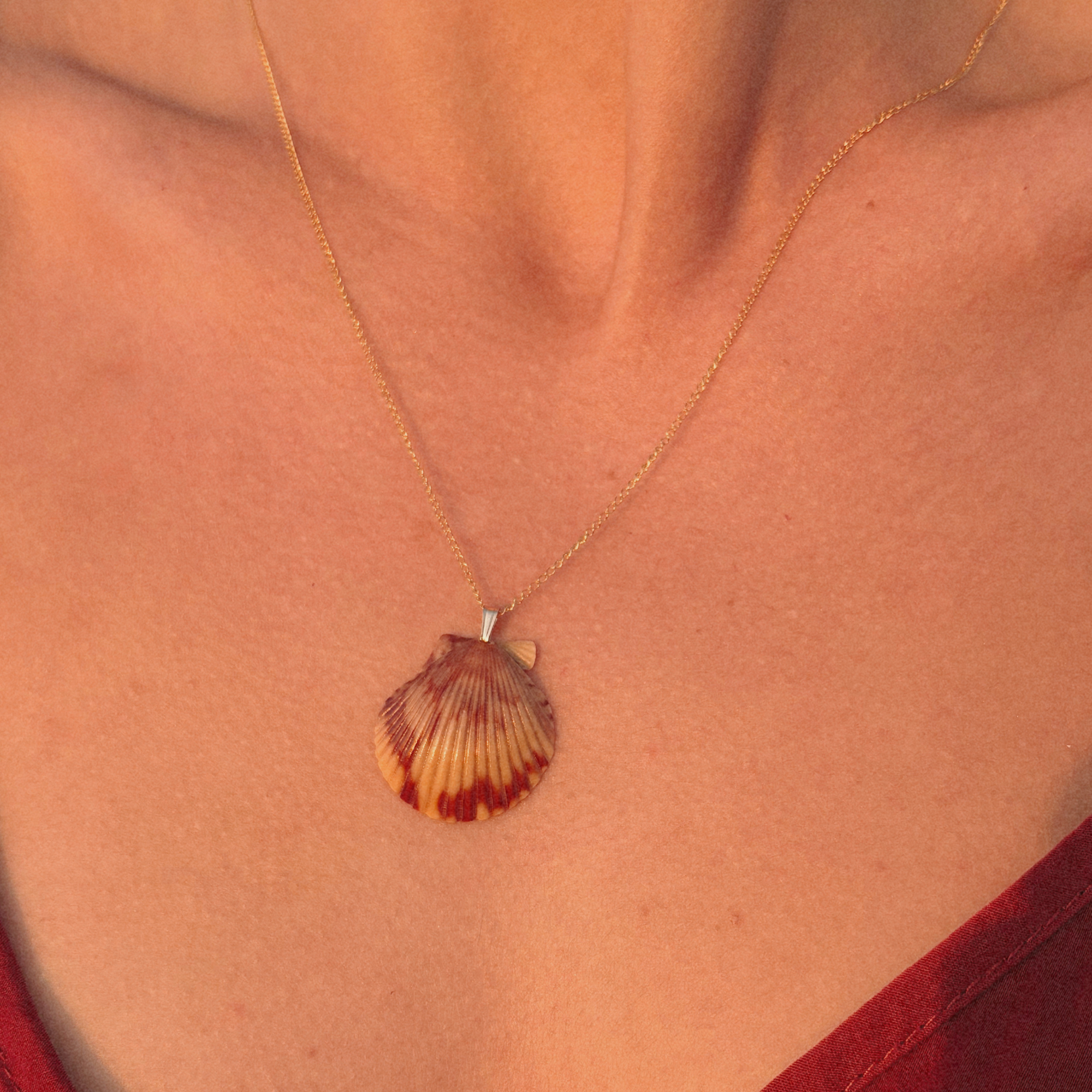 Pacific Calico Scallop Necklace | 14K Gold-filled