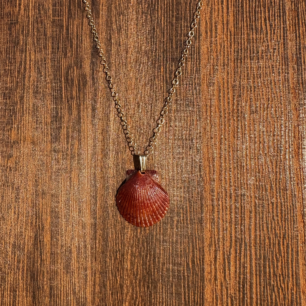 Pacific Calico Scallop Necklace | 14K Gold-filled