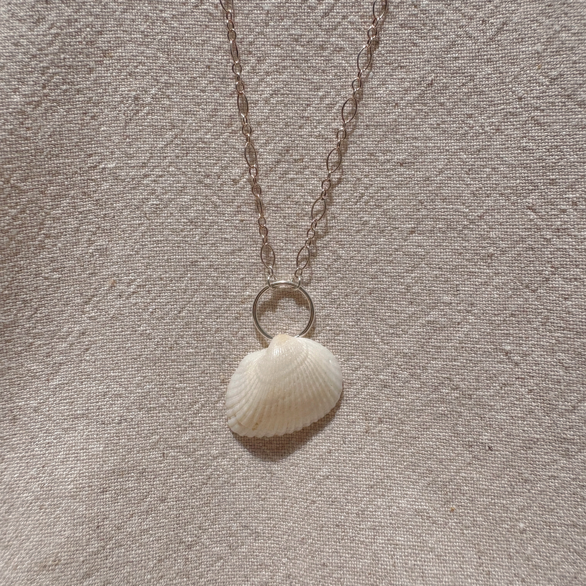 The Linked Seashell Necklace | Sterling Silver