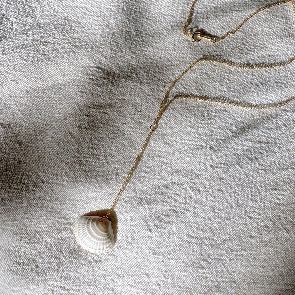 Clam Drop Necklace | 14K Gold-filled