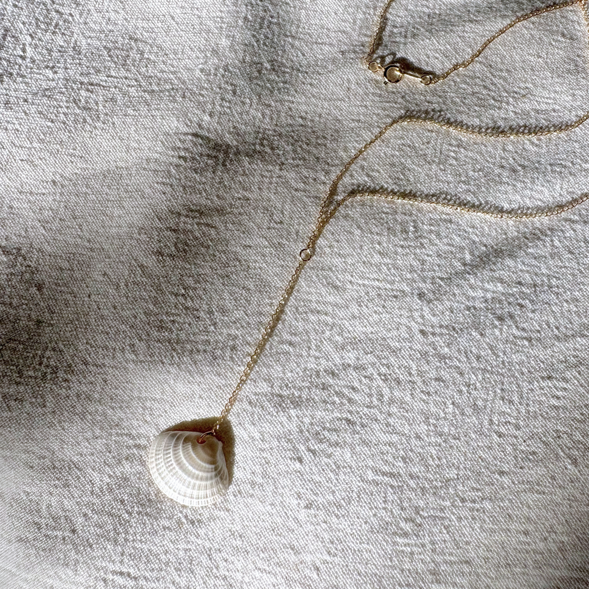 Clam Drop Necklace | 14K Gold-filled