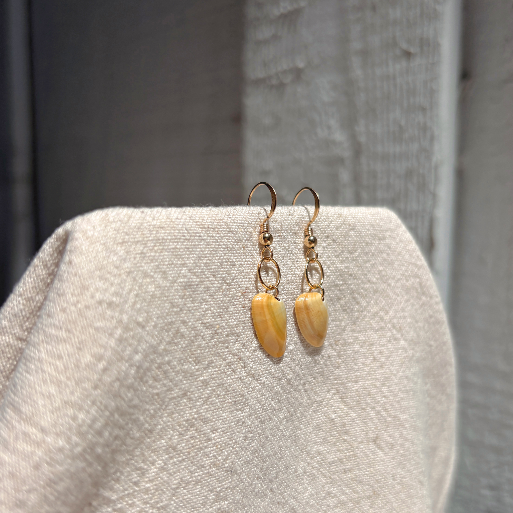 Seashell Earrings | 14K Gold-filled