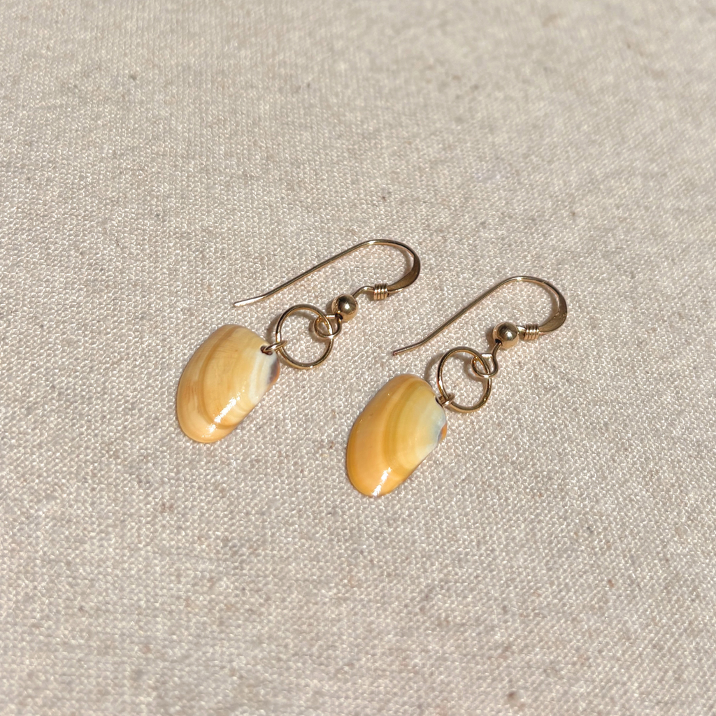 Seashell Earrings | 14K Gold-filled