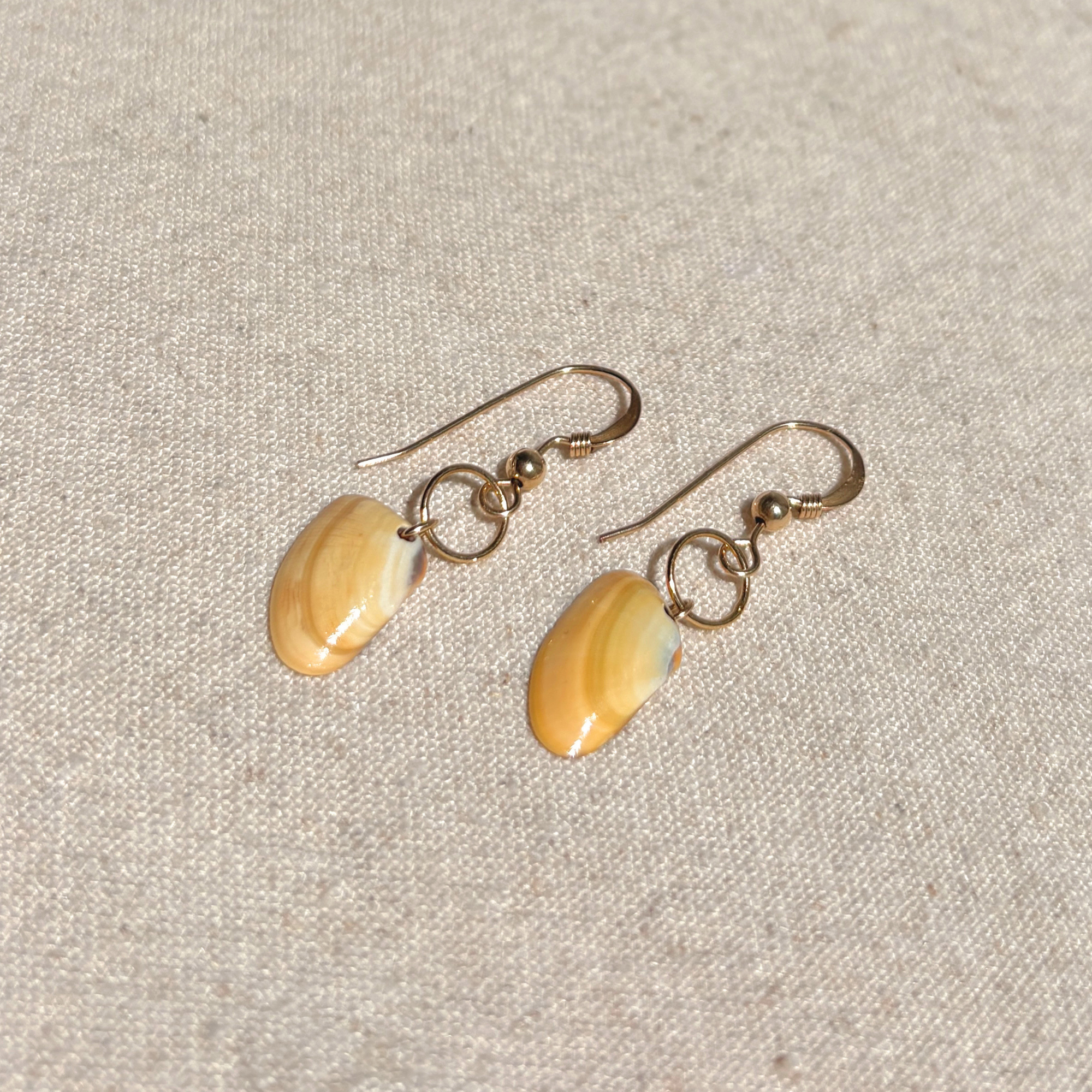 Seashell Earrings | 14K Gold-filled