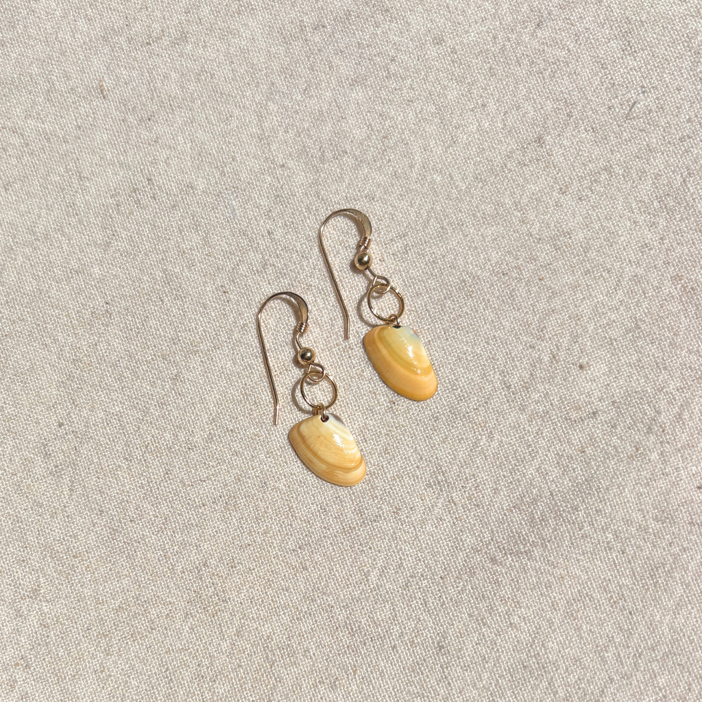 Seashell Earrings | 14K Gold-filled