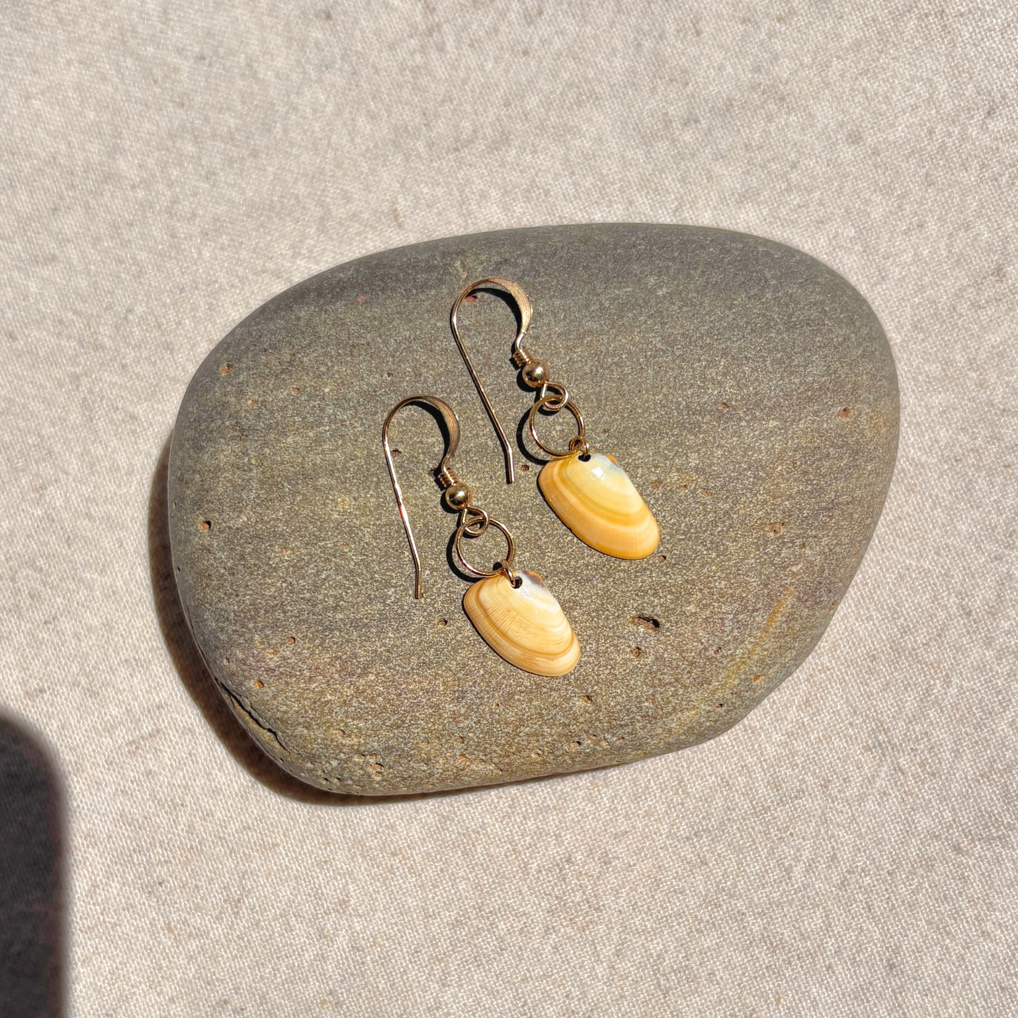 Seashell Earrings | 14K Gold-filled