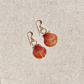 Seashell Earrings | 14K Gold-filled