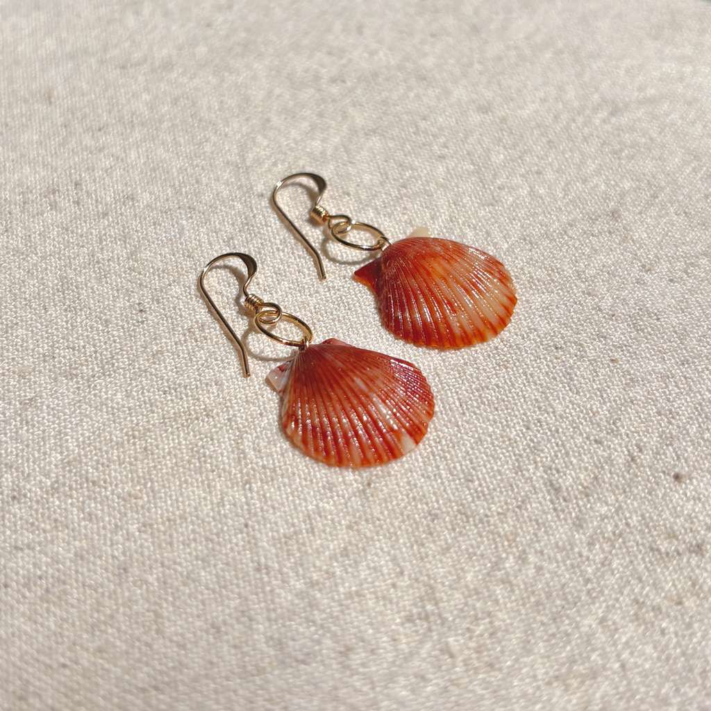 Seashell Earrings | 14K Gold-filled