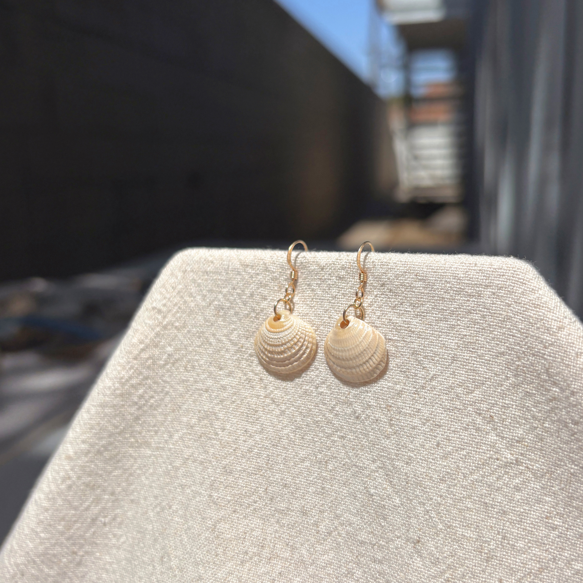 Seashell Earrings | 14K Gold-filled