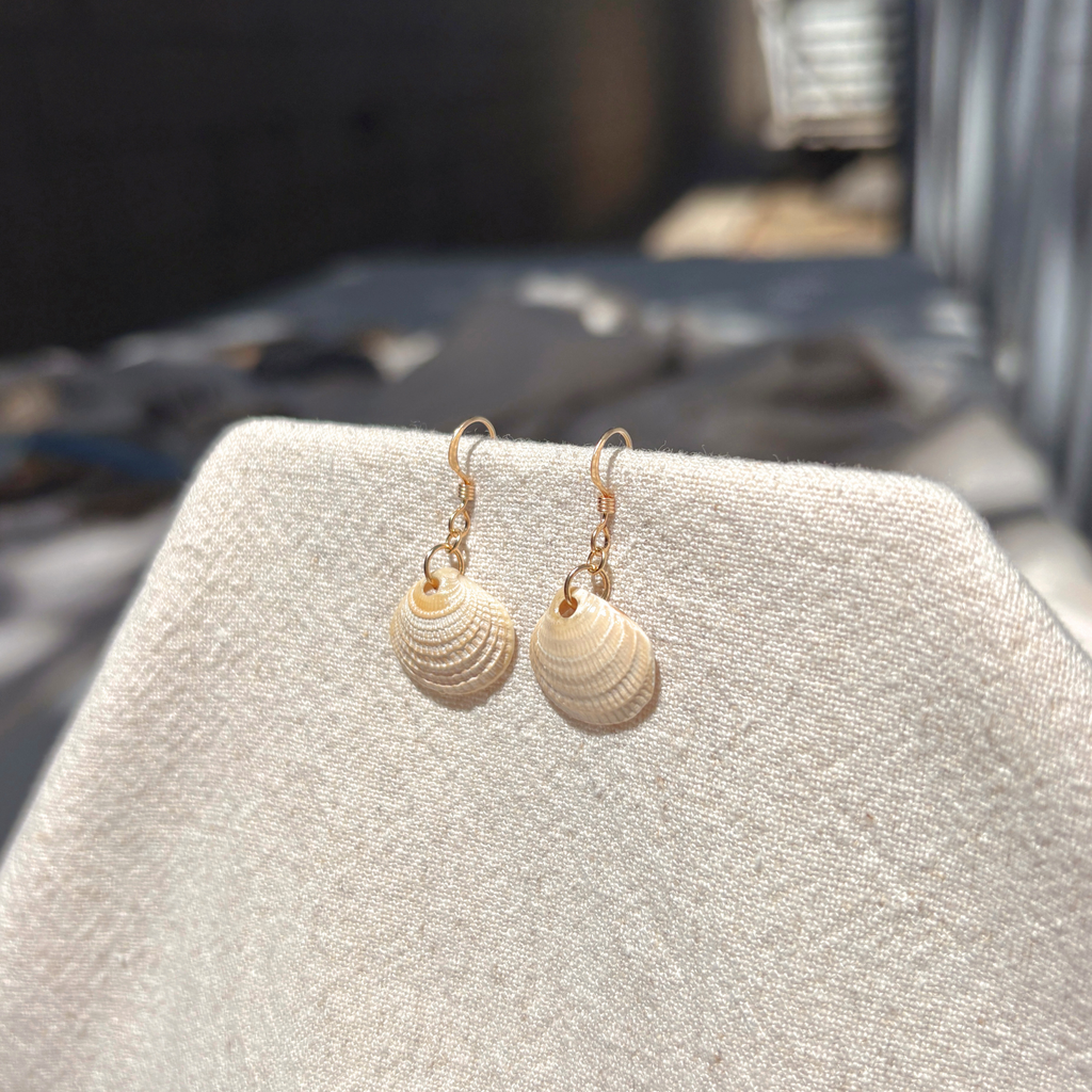 Seashell Earrings | 14K Gold-filled