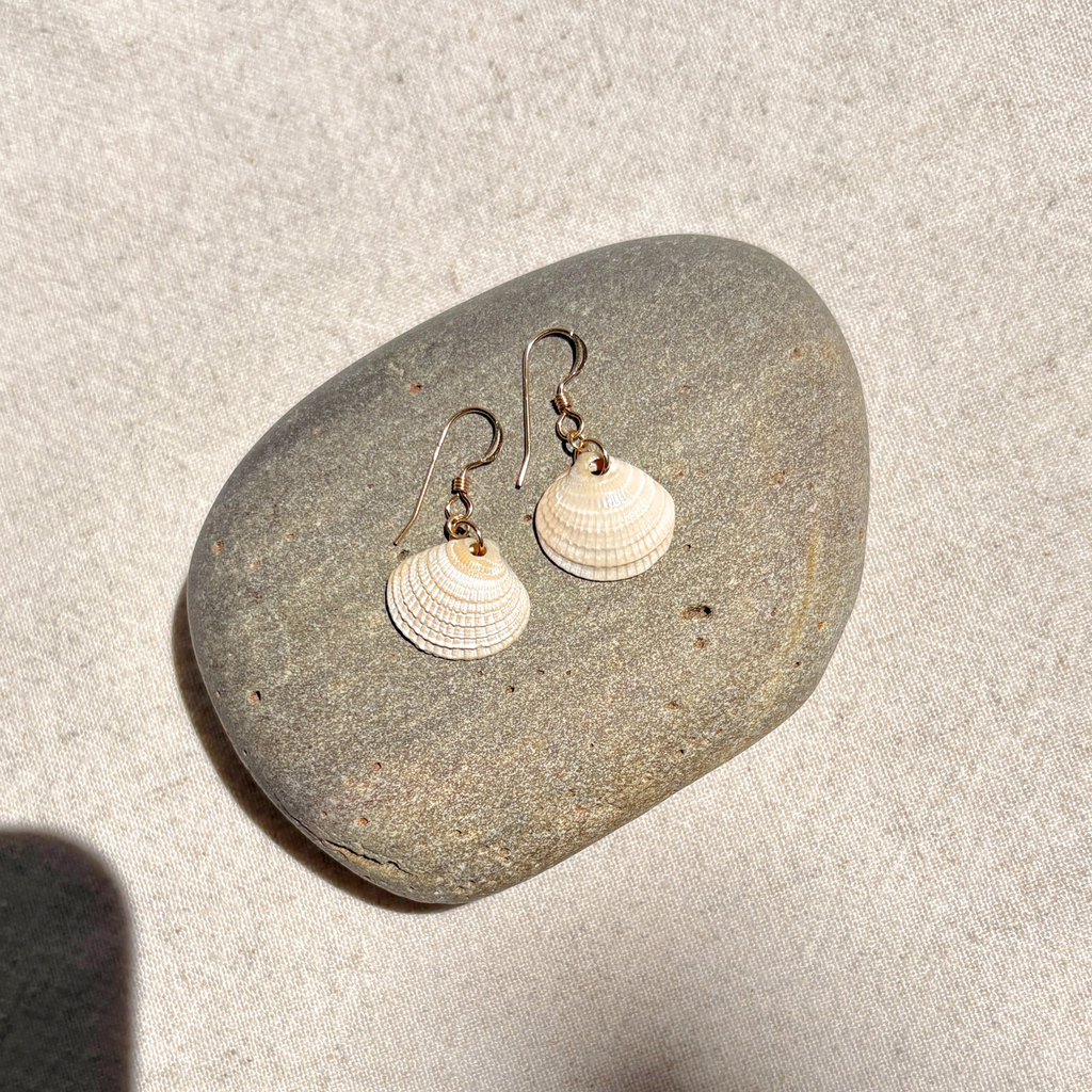 Seashell Earrings | 14K Gold-filled