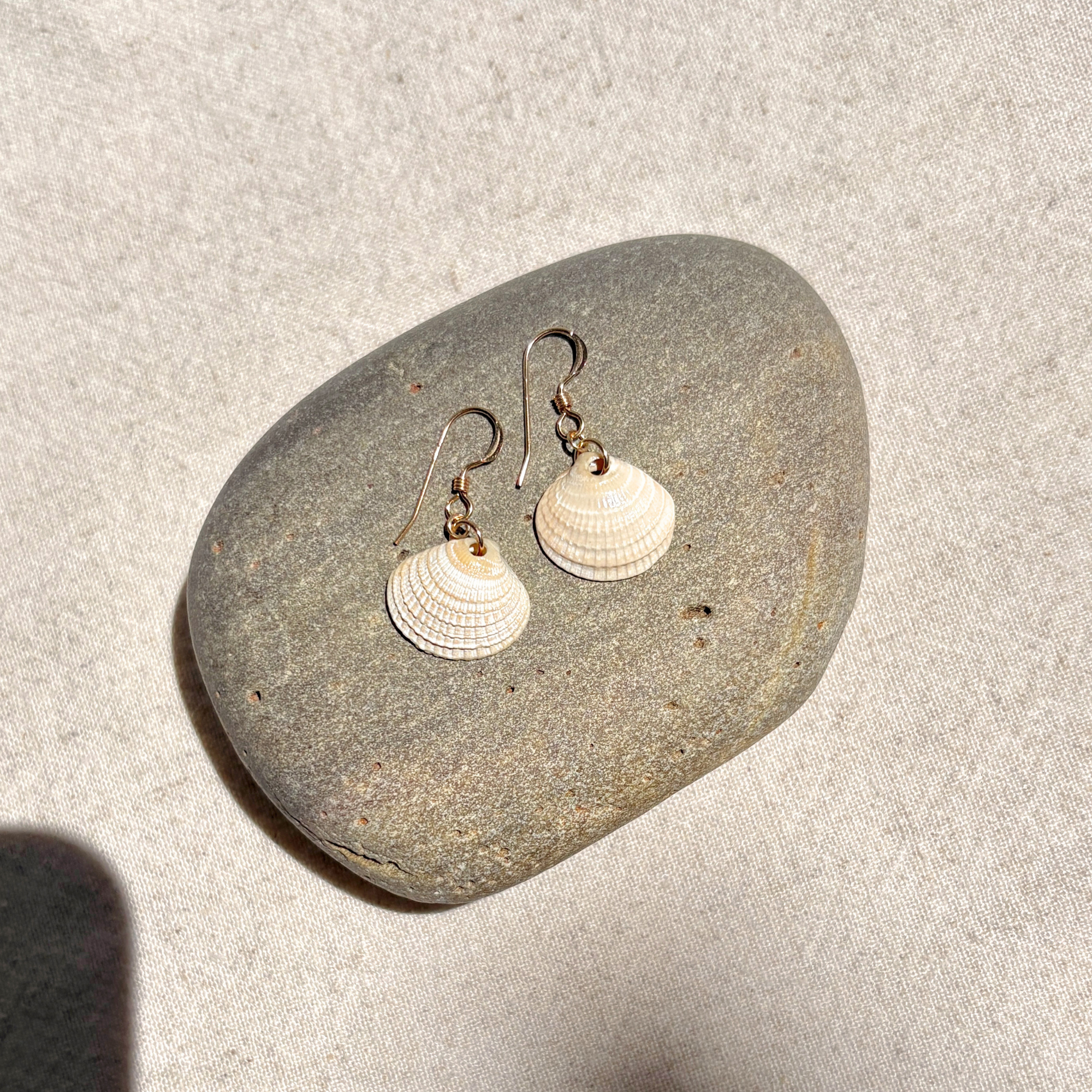 Seashell Earrings | 14K Gold-filled