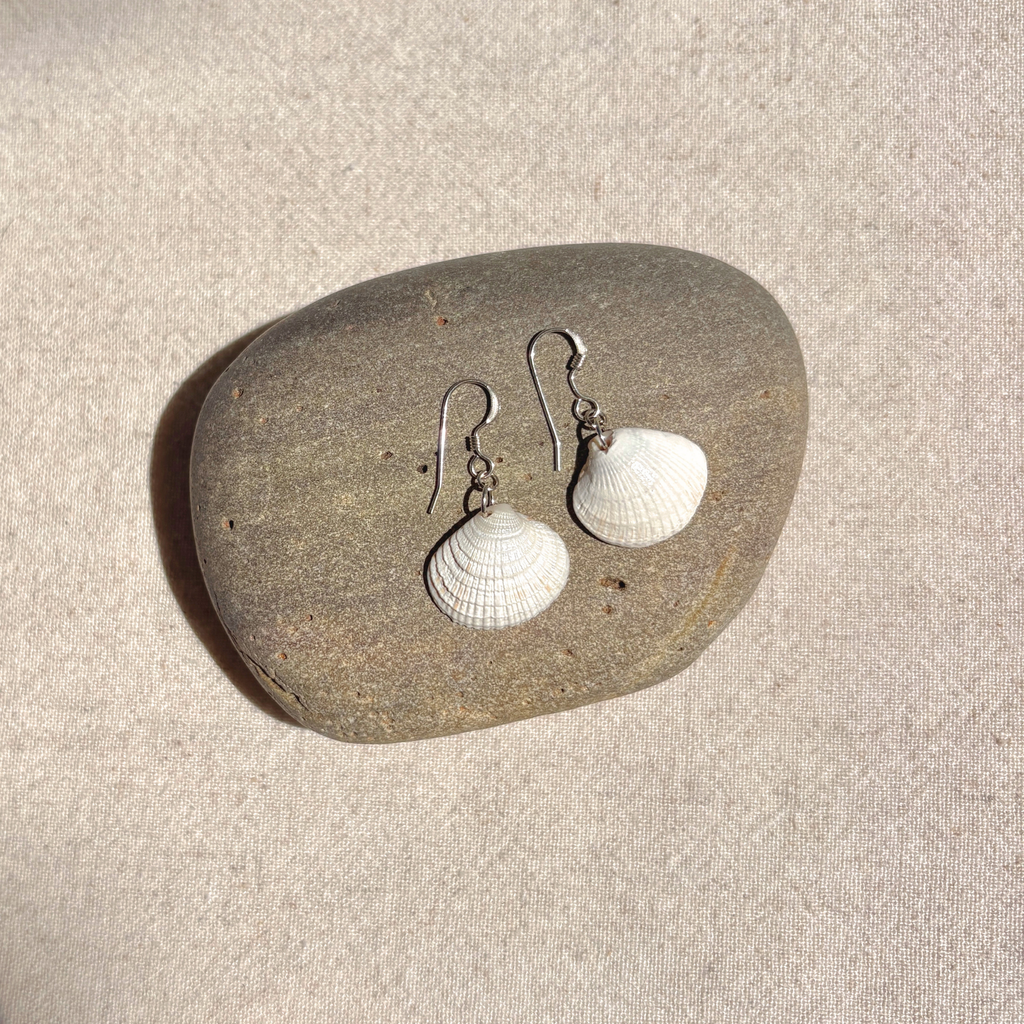 Seashell Earrings | Sterling Silver