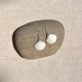 Seashell Earrings | Sterling Silver