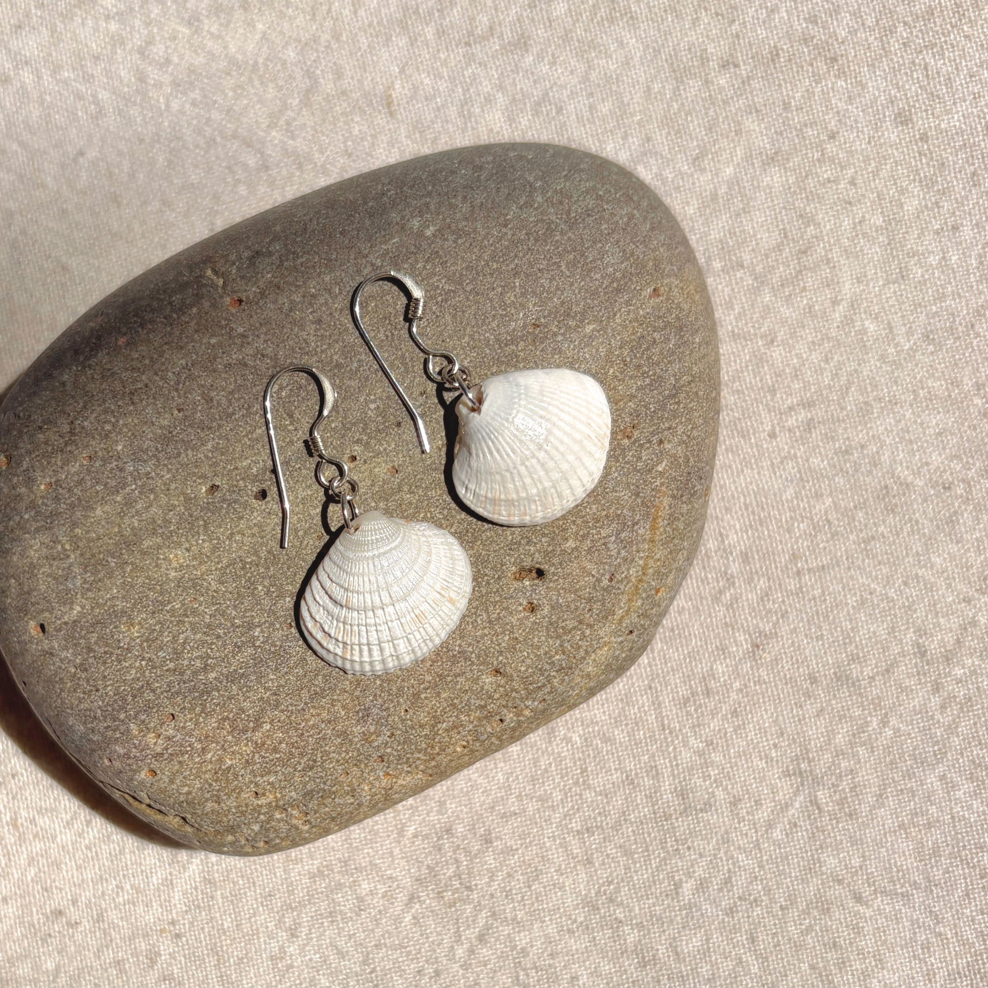 Seashell Earrings | Sterling Silver