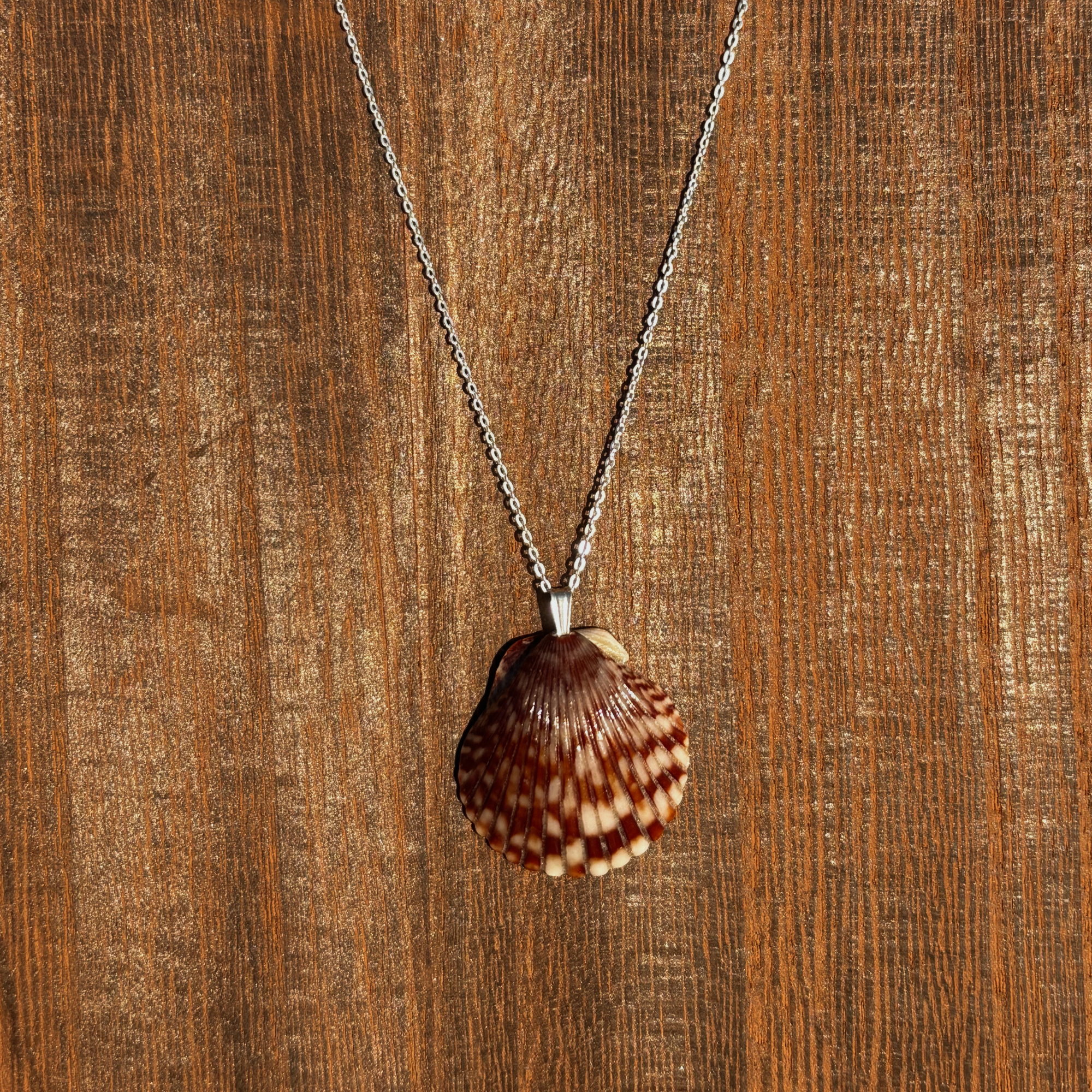 Pacific Calico Scallop Necklace | Sterling Silver