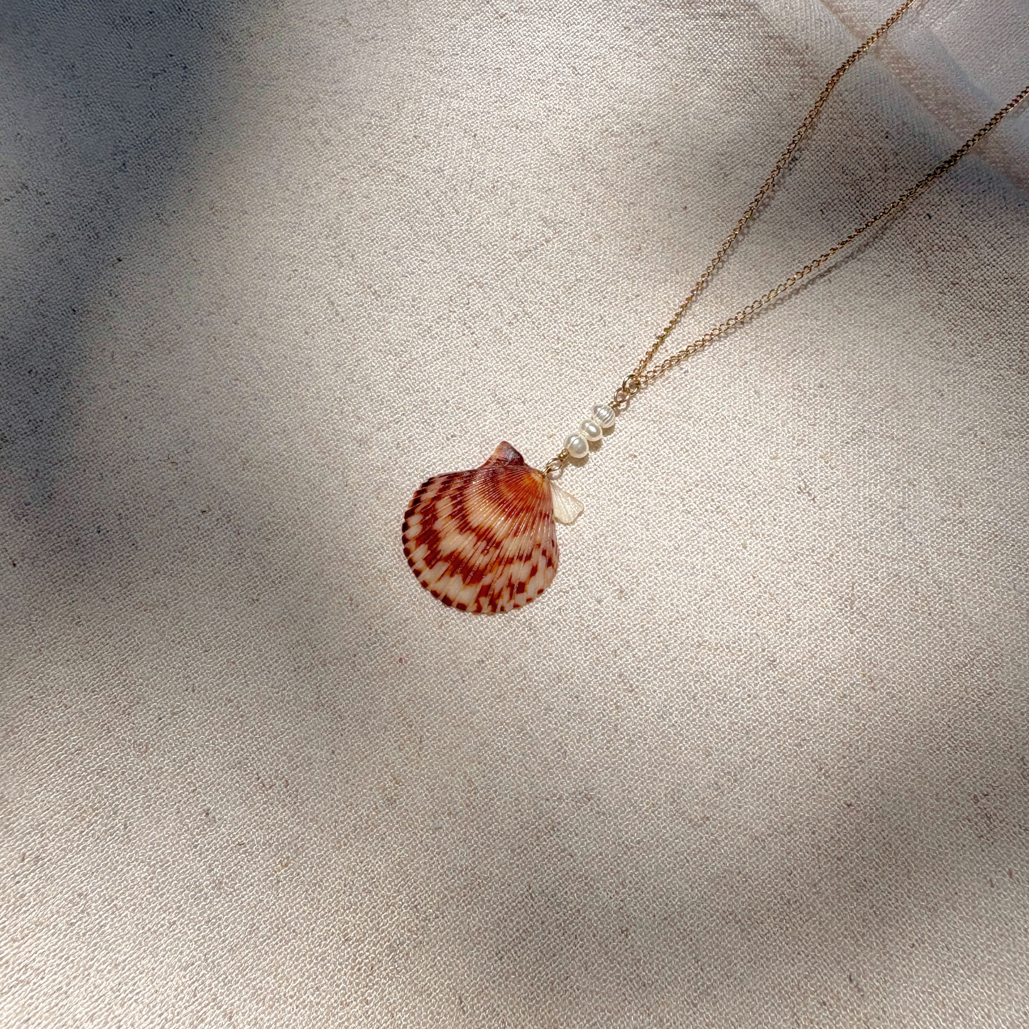 Seashell Pearl Drop Necklace | 14K Gold-filled