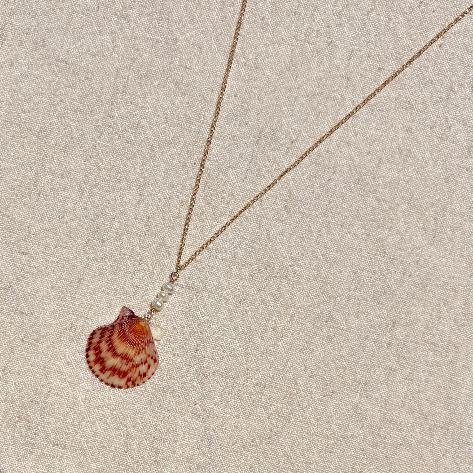 Seashell Pearl Drop Necklace | 14K Gold-filled
