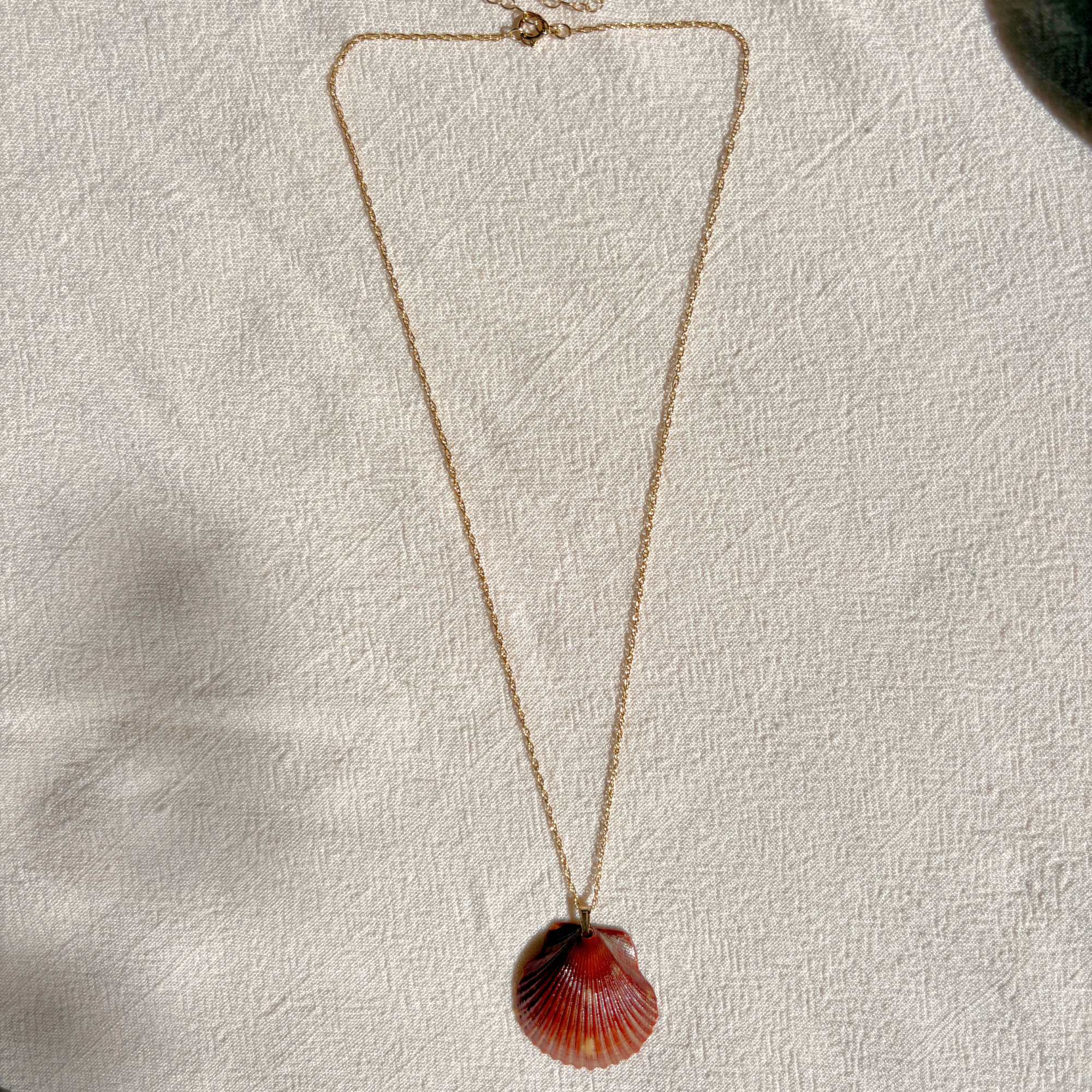 Pacific Calico Scallop Necklace | 14K Gold-filled