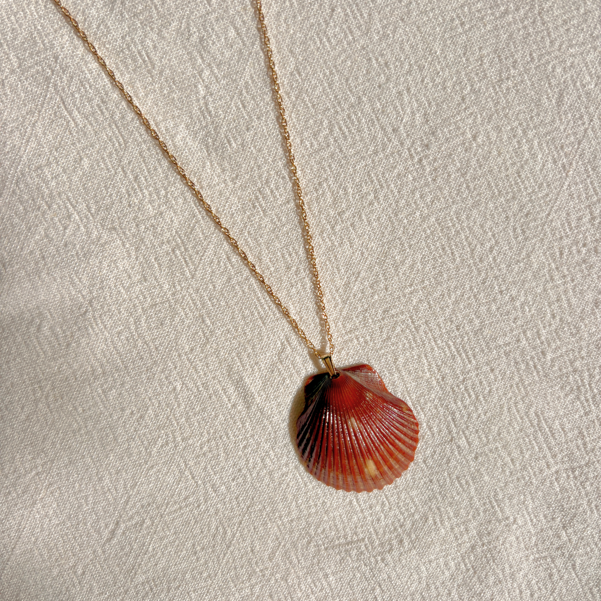 Pacific Calico Scallop Necklace | 14K Gold-filled