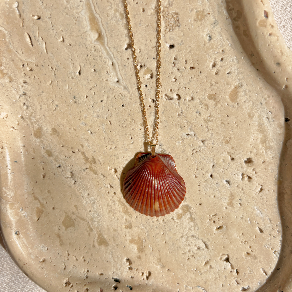 Pacific Calico Scallop Necklace | 14K Gold-filled