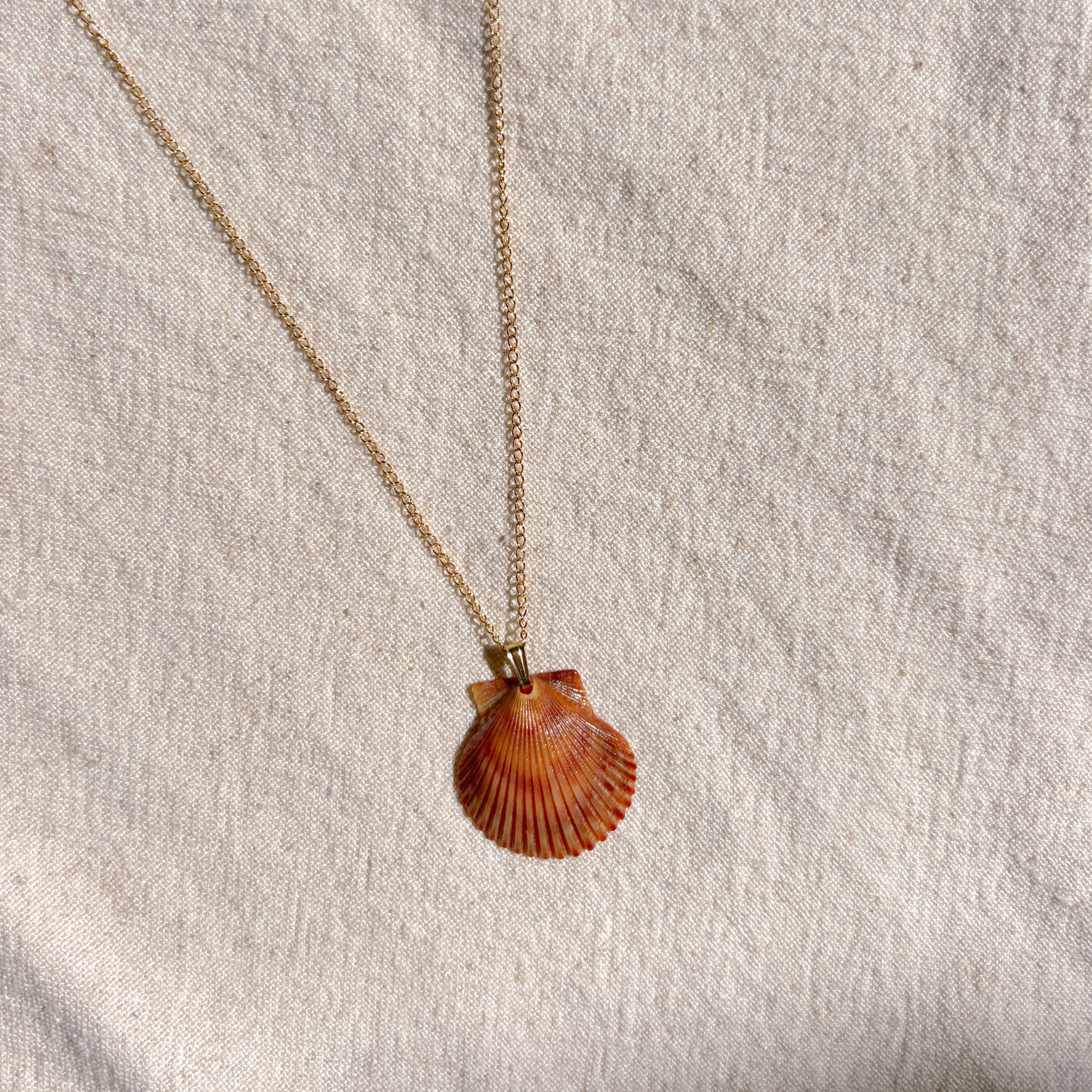 Pacific Calico Scallop Necklace | 14K Gold-filled