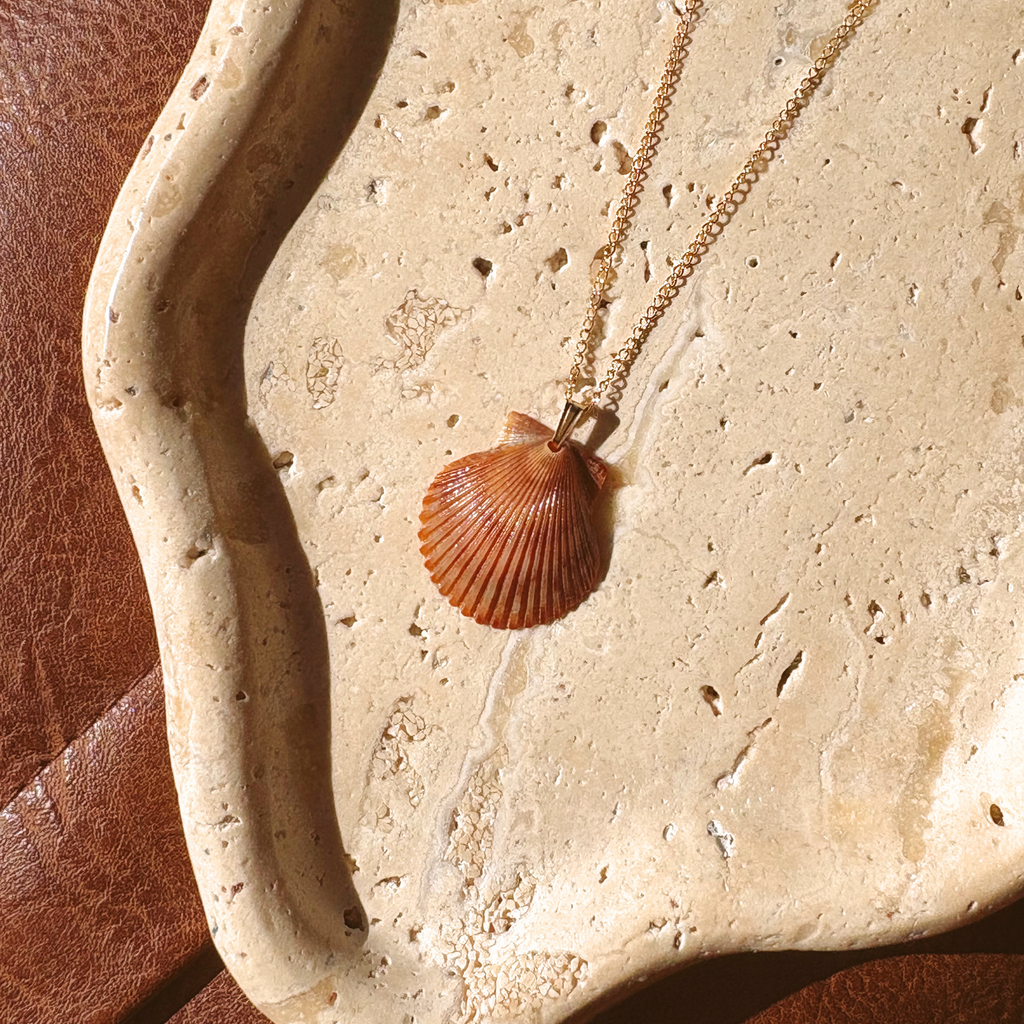 Pacific Calico Scallop Necklace | 14K Gold-filled
