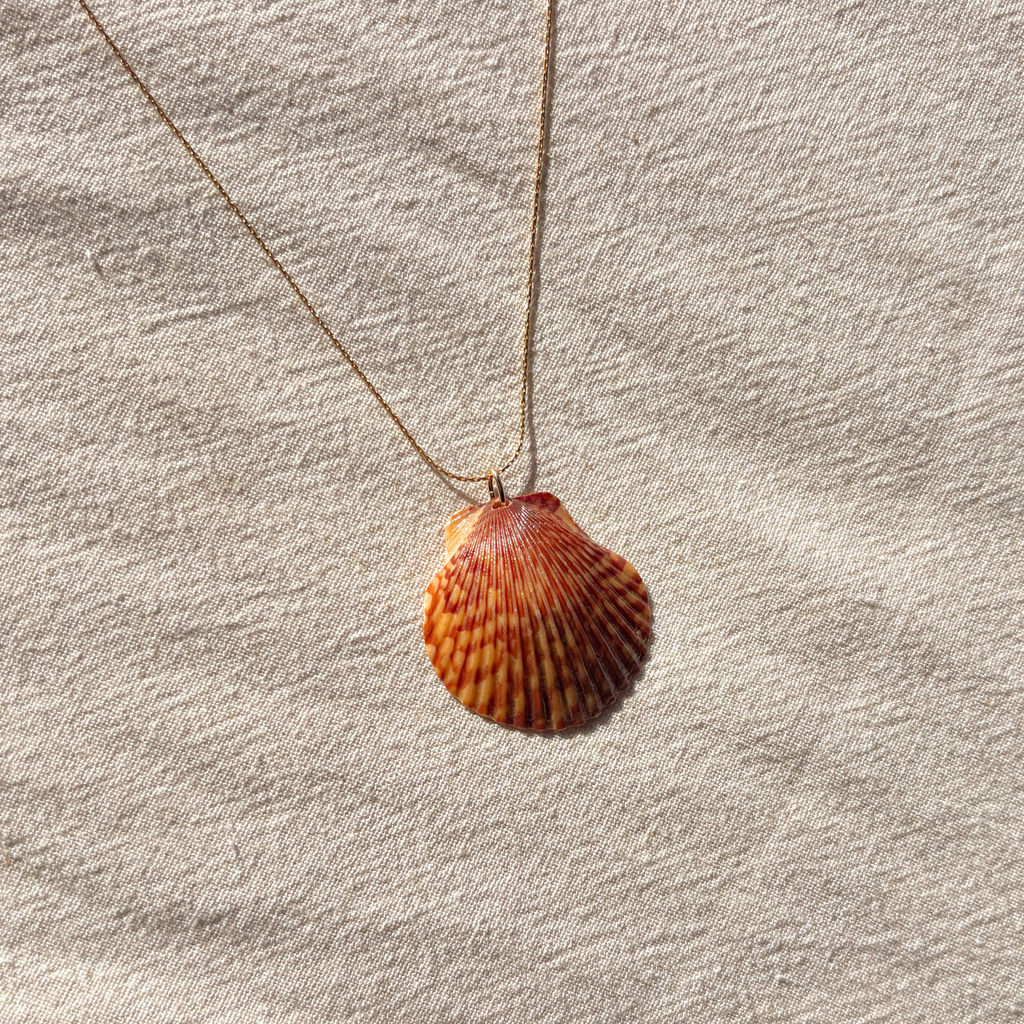 Pacific Calico Scallop Necklace | 14K Gold-filled